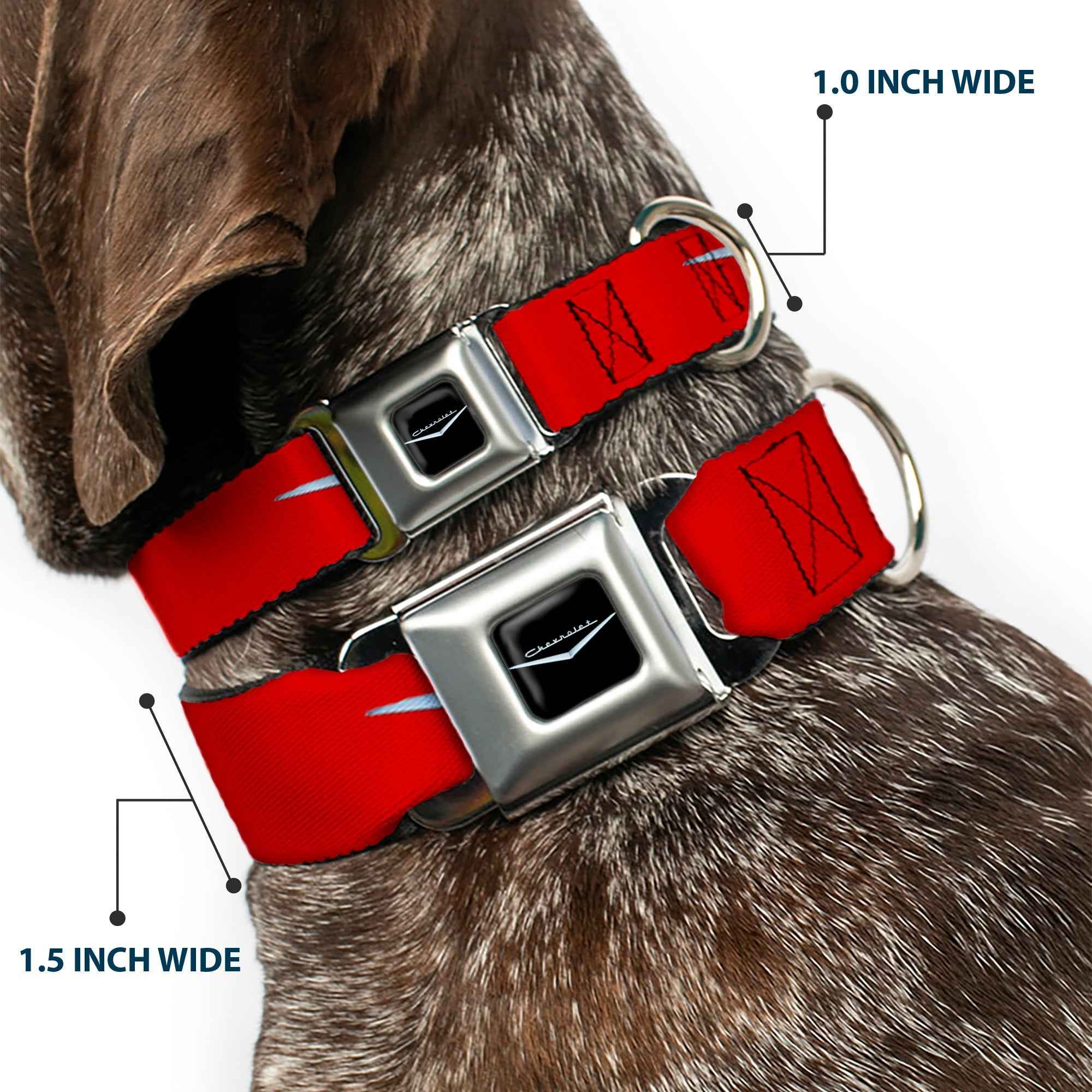 Buckle-Down 1955-57 Chevrolet V Emblem Full Color Black Silver Seatbelt Buckle Dog Collar - 1955-57 Chevrolet V Emblem Red/Silver