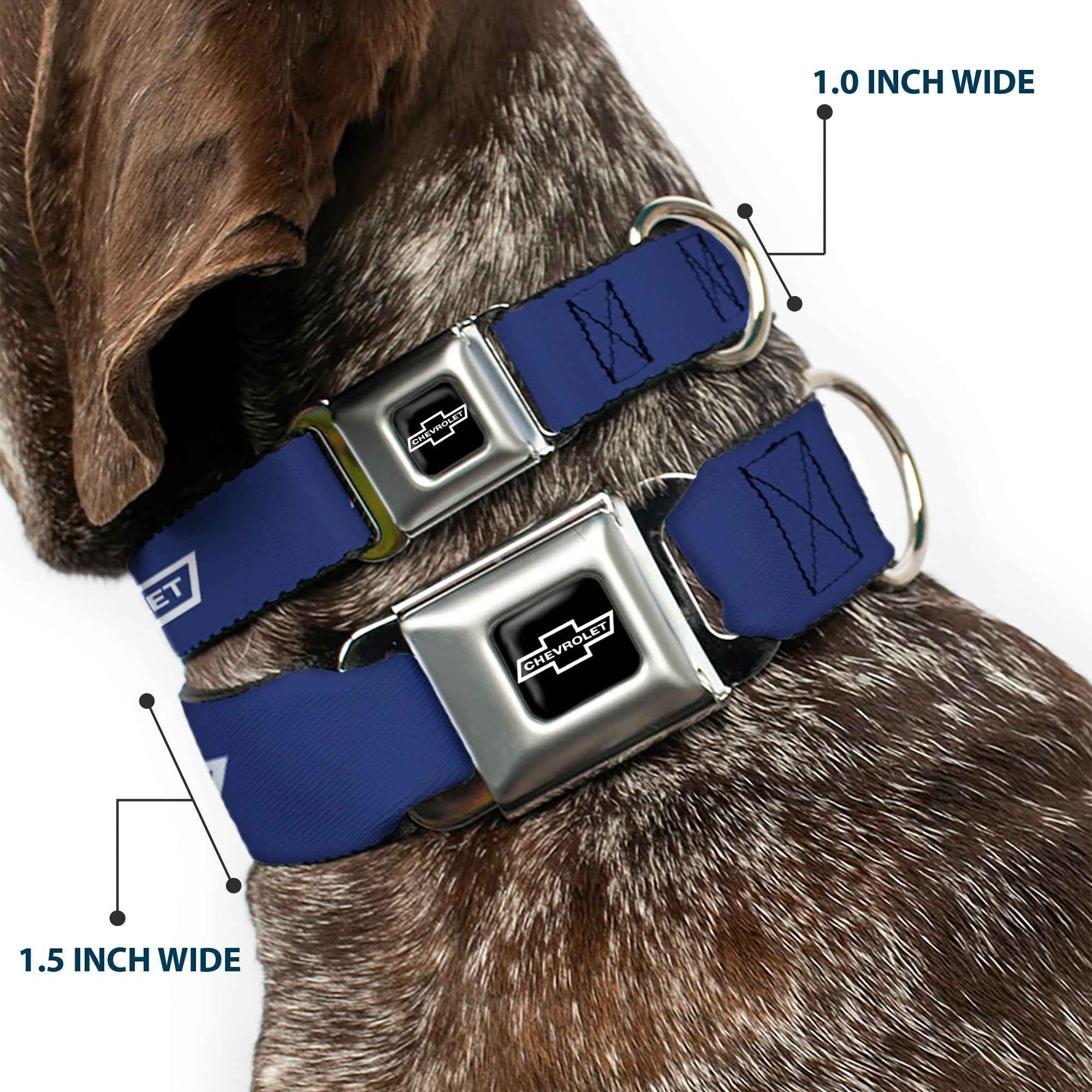 Buckle-Down 1965 Chevrolet Bowtie Full Color Black/White Seatbelt Buckle Dog Collar - 1965 Chevrolet Bowtie Blue/White