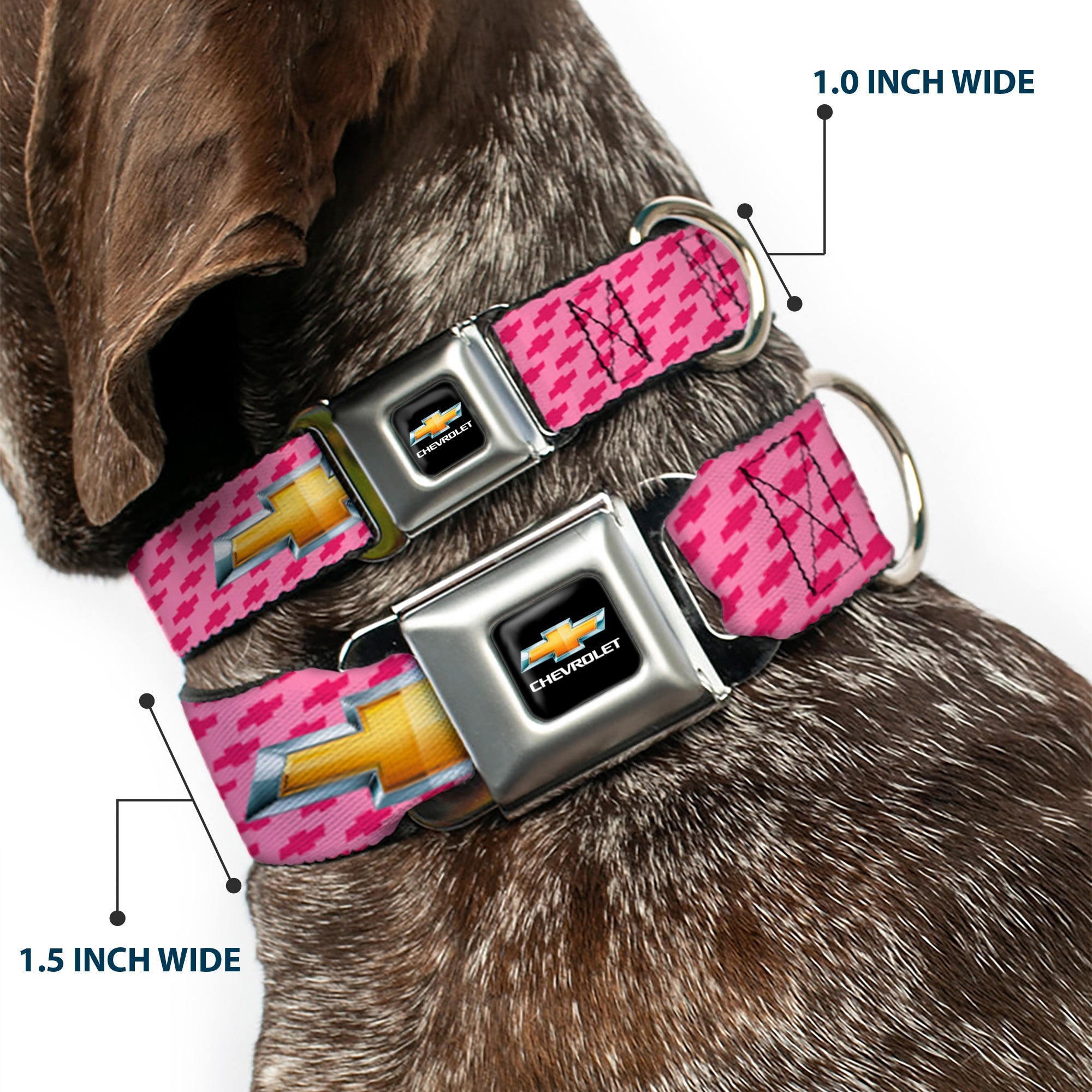 Chevy Bowtie Full Color Black Gold Seatbelt Buckle Collar - Chevy Gold Bowtie w/Logo PINK