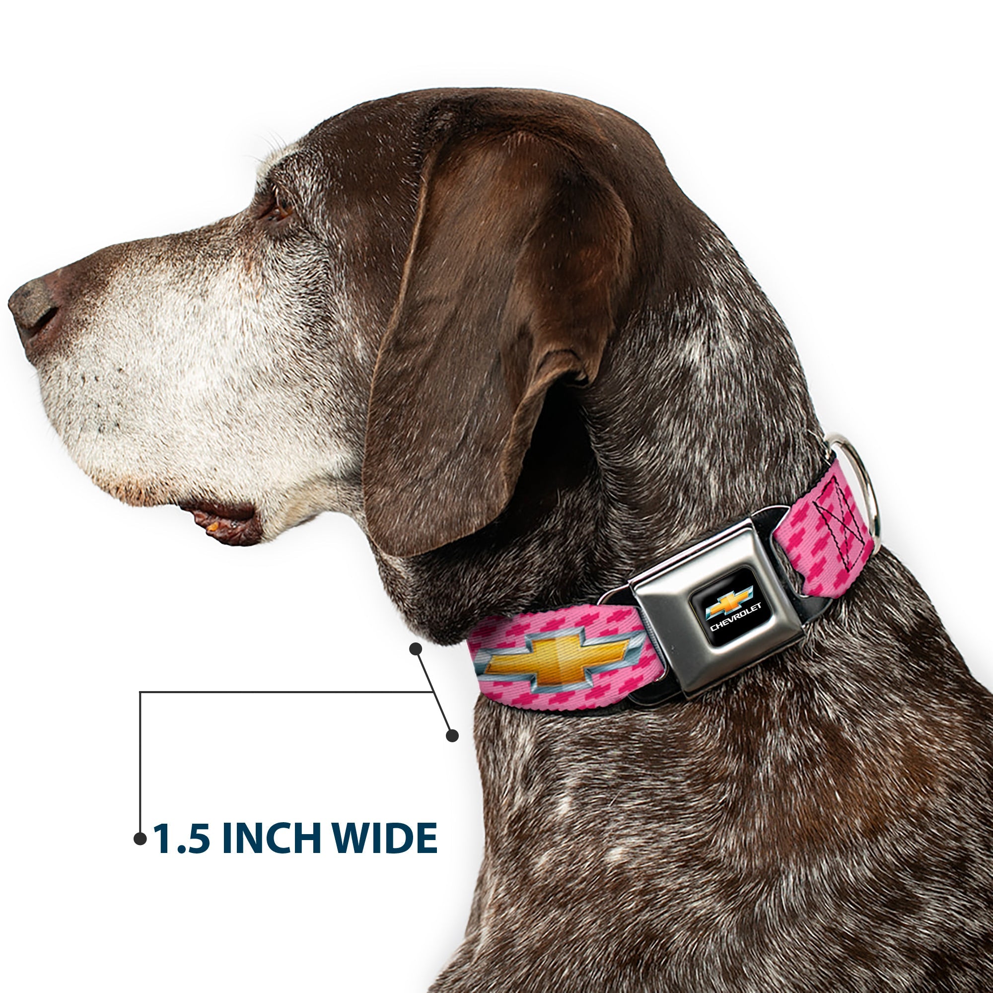 Chevy Bowtie Full Color Black Gold Seatbelt Buckle Collar - Chevy Gold Bowtie w/Logo PINK