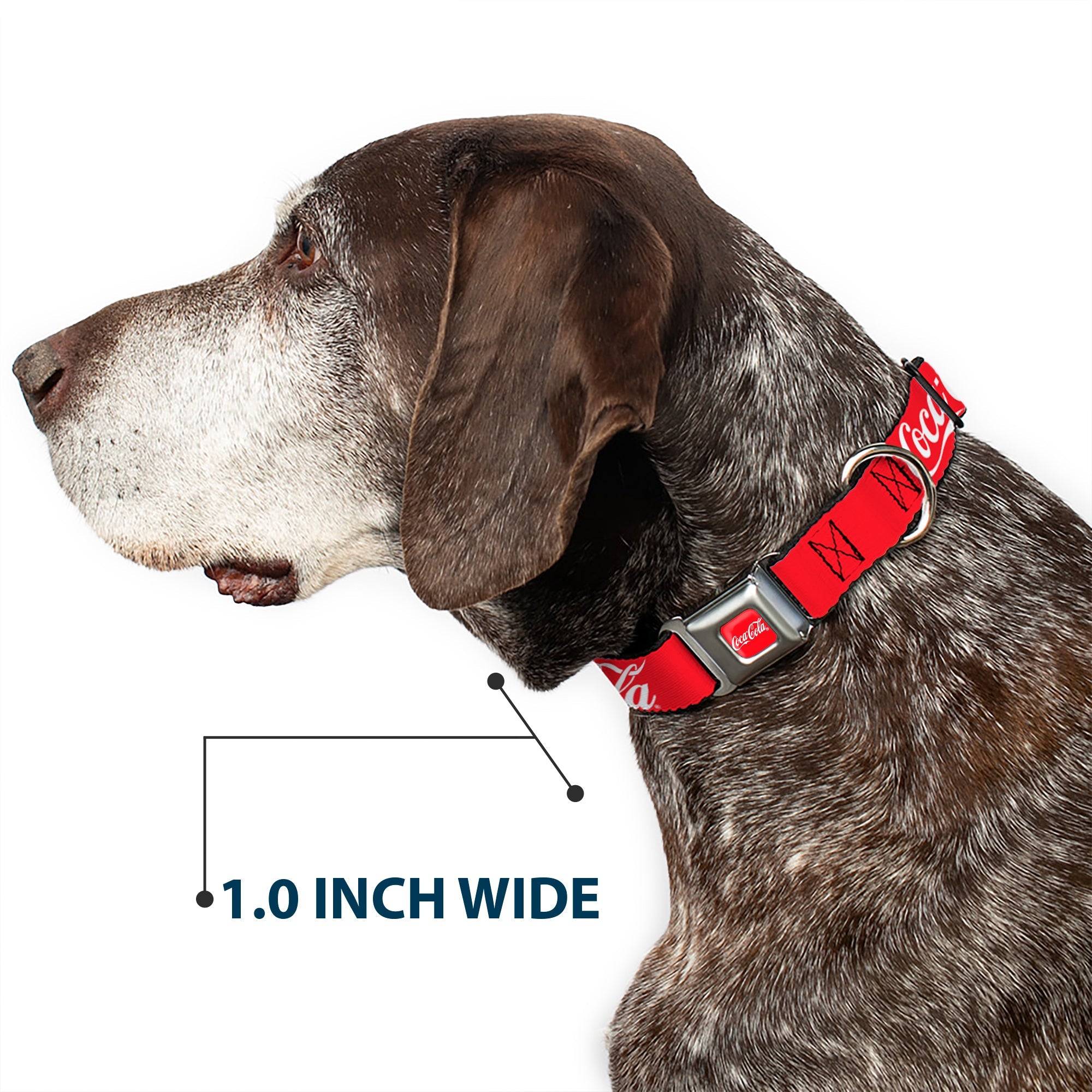 Buckle-Down Coca-Cola Script Logo Full Color Red/White Seatbelt Buckle Dog Collar - Coca-Cola Script Logo Red/White