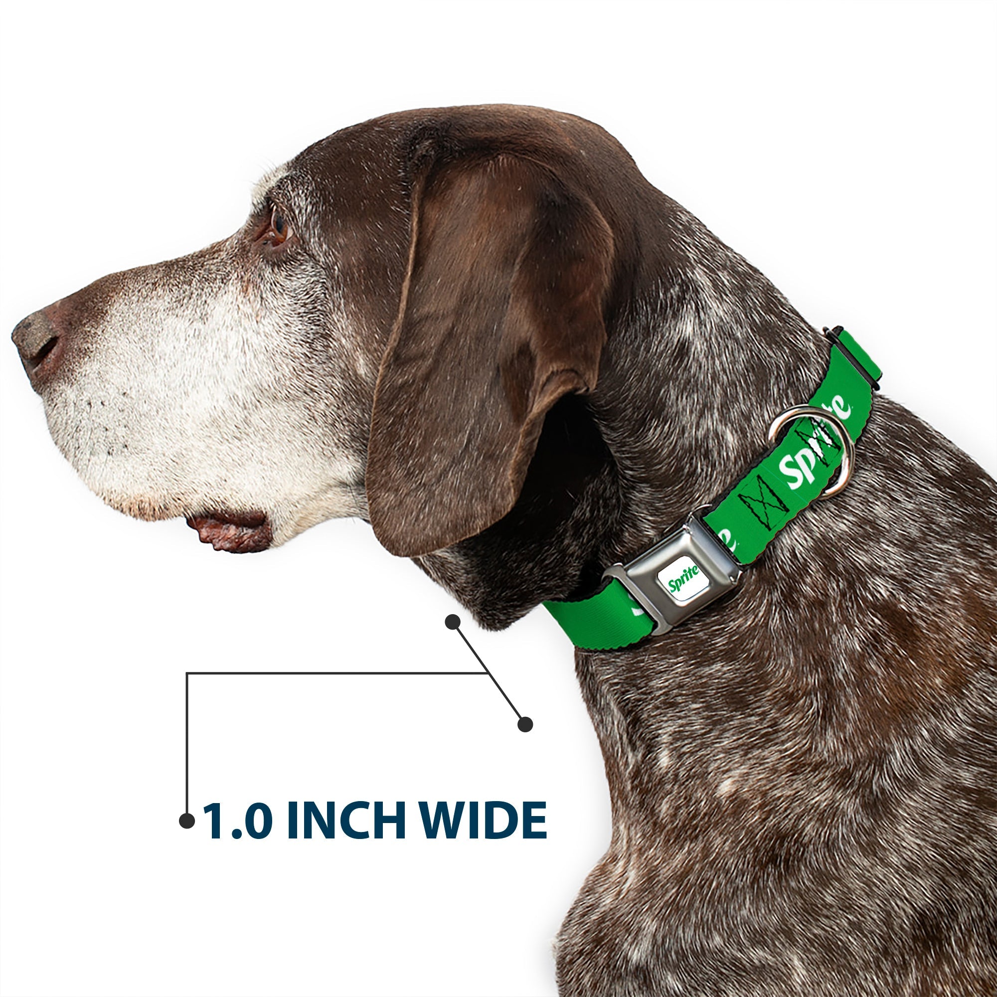 Buckle-Down Sprite Logo Full Color White/Green Seatbelt Buckle Dog Collar - Sprite Logo Green/White