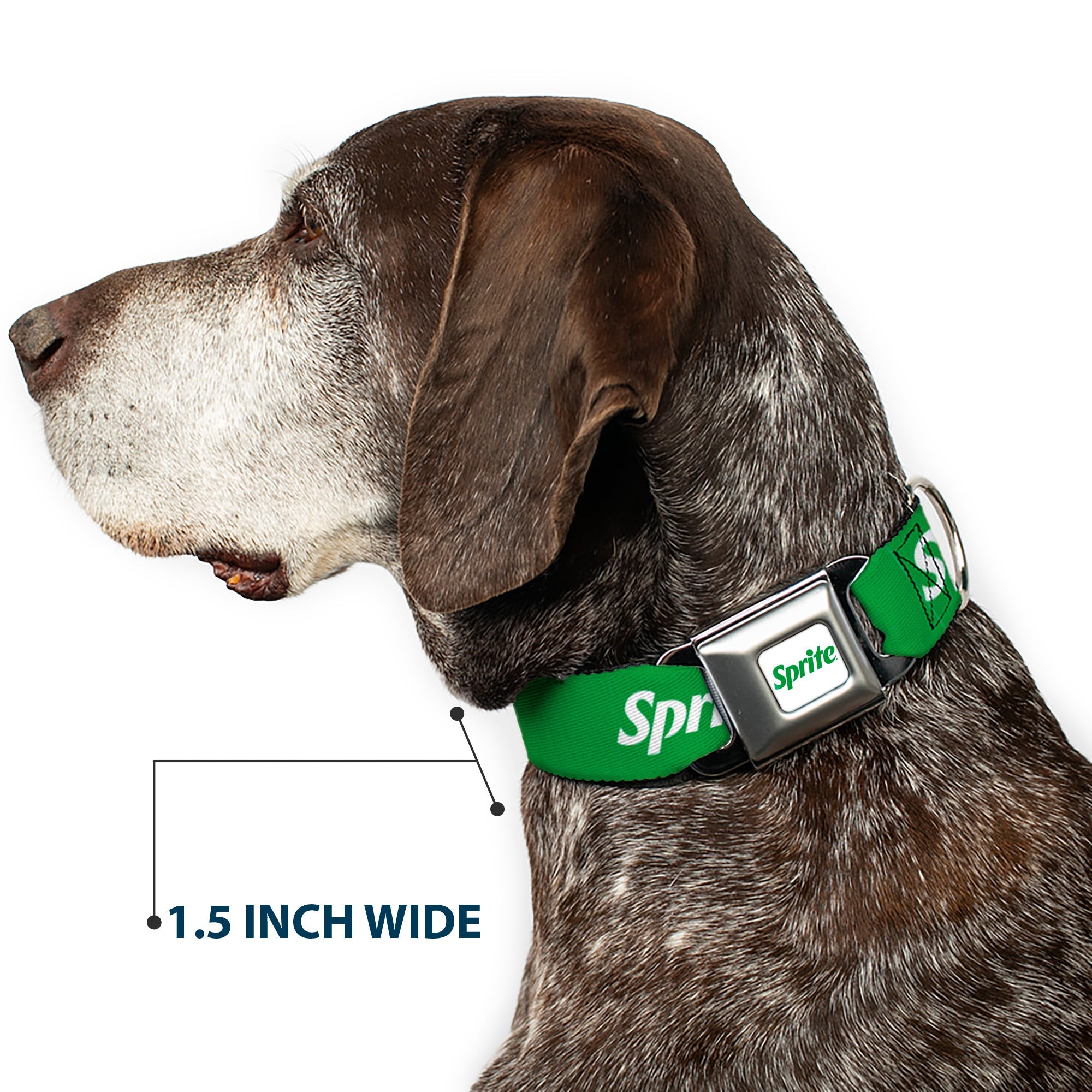 Buckle-Down Sprite Logo Full Color White/Green Seatbelt Buckle Dog Collar - Sprite Logo Green/White