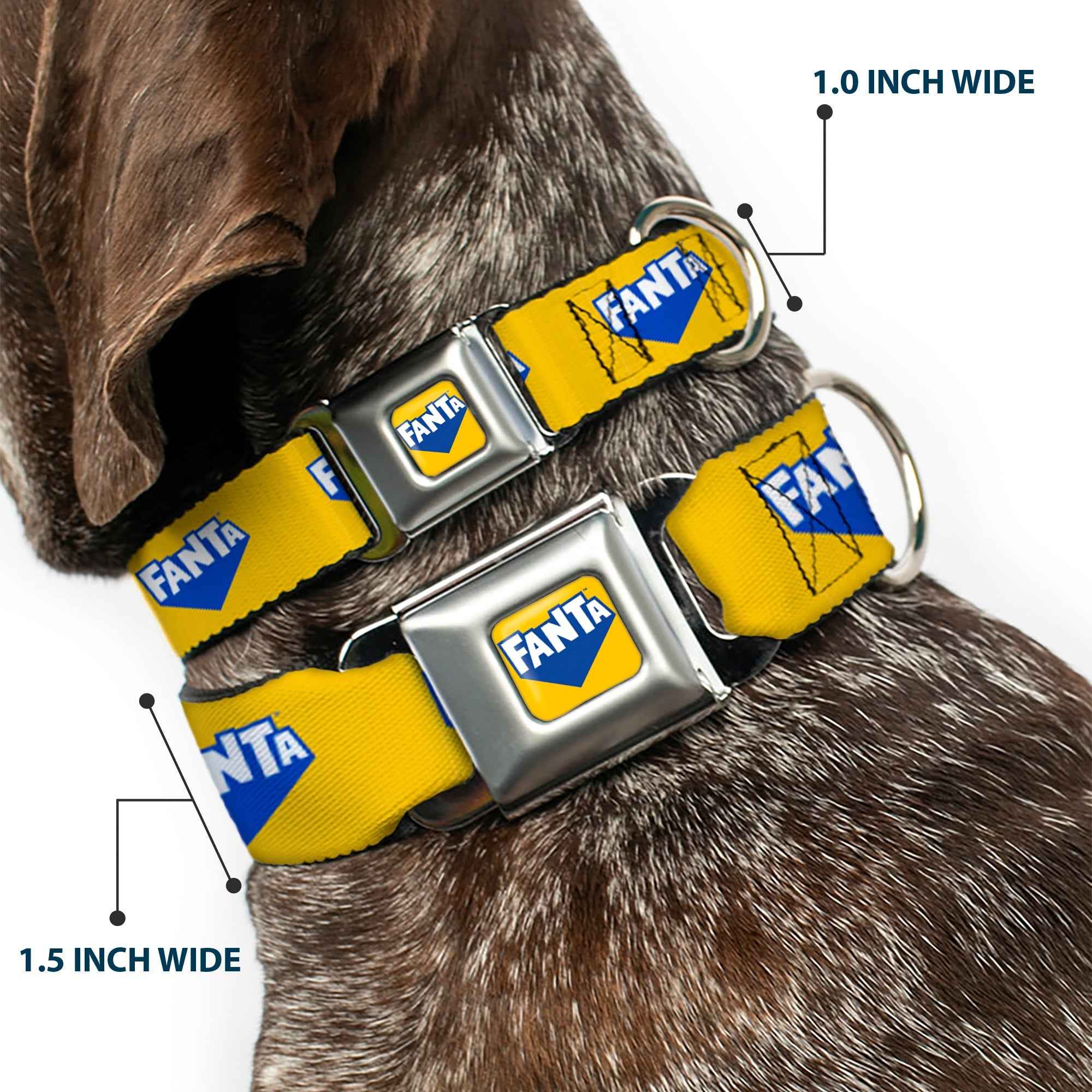 Buckle-Down Fanta Logo Full Color Pineapple Yellow/Blue/White Seatbelt Buckle Dog Collar - Fanta Logo Pineapple Yellow/Blue/White
