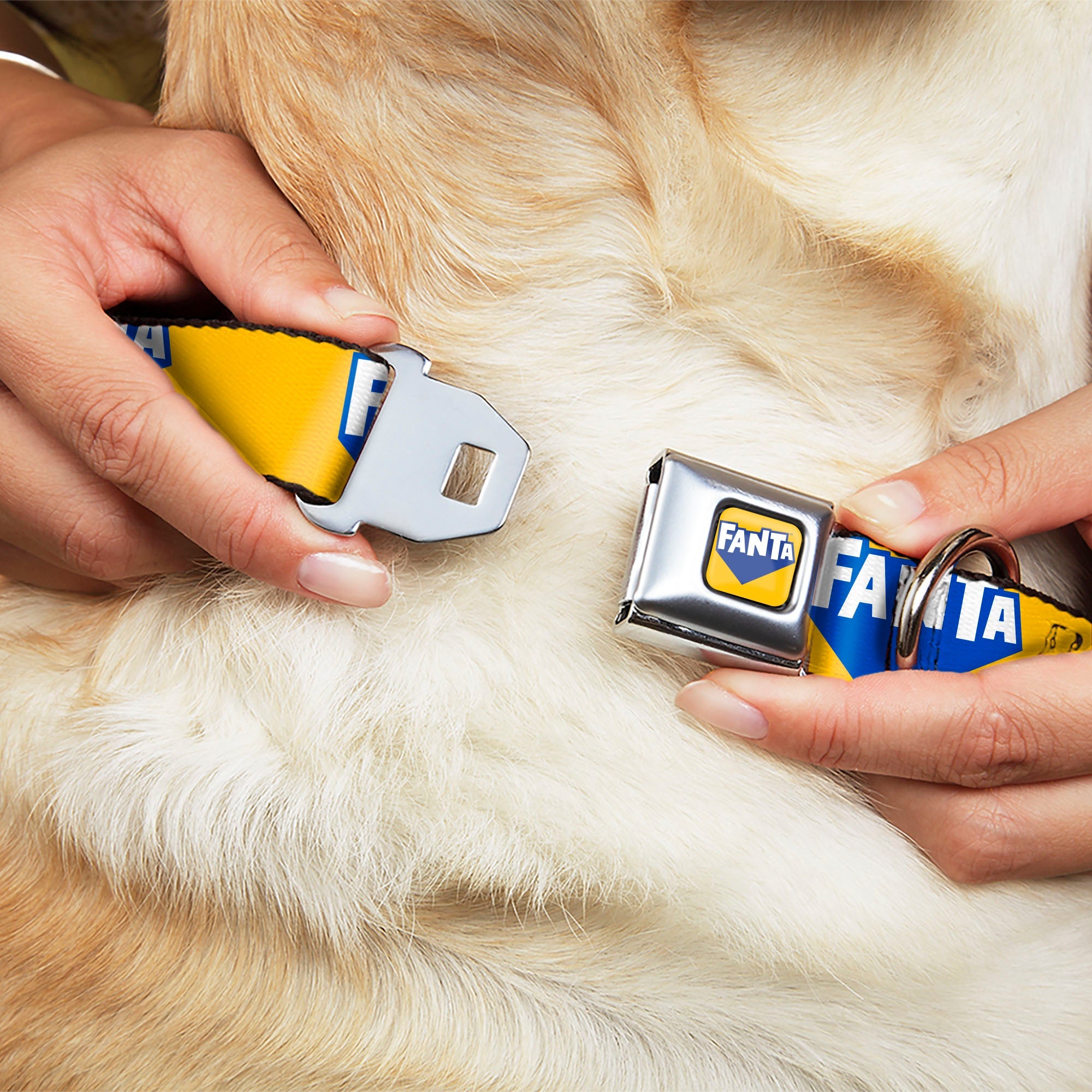 Buckle-Down Fanta Logo Full Color Pineapple Yellow/Blue/White Seatbelt Buckle Dog Collar - Fanta Logo Pineapple Yellow/Blue/White