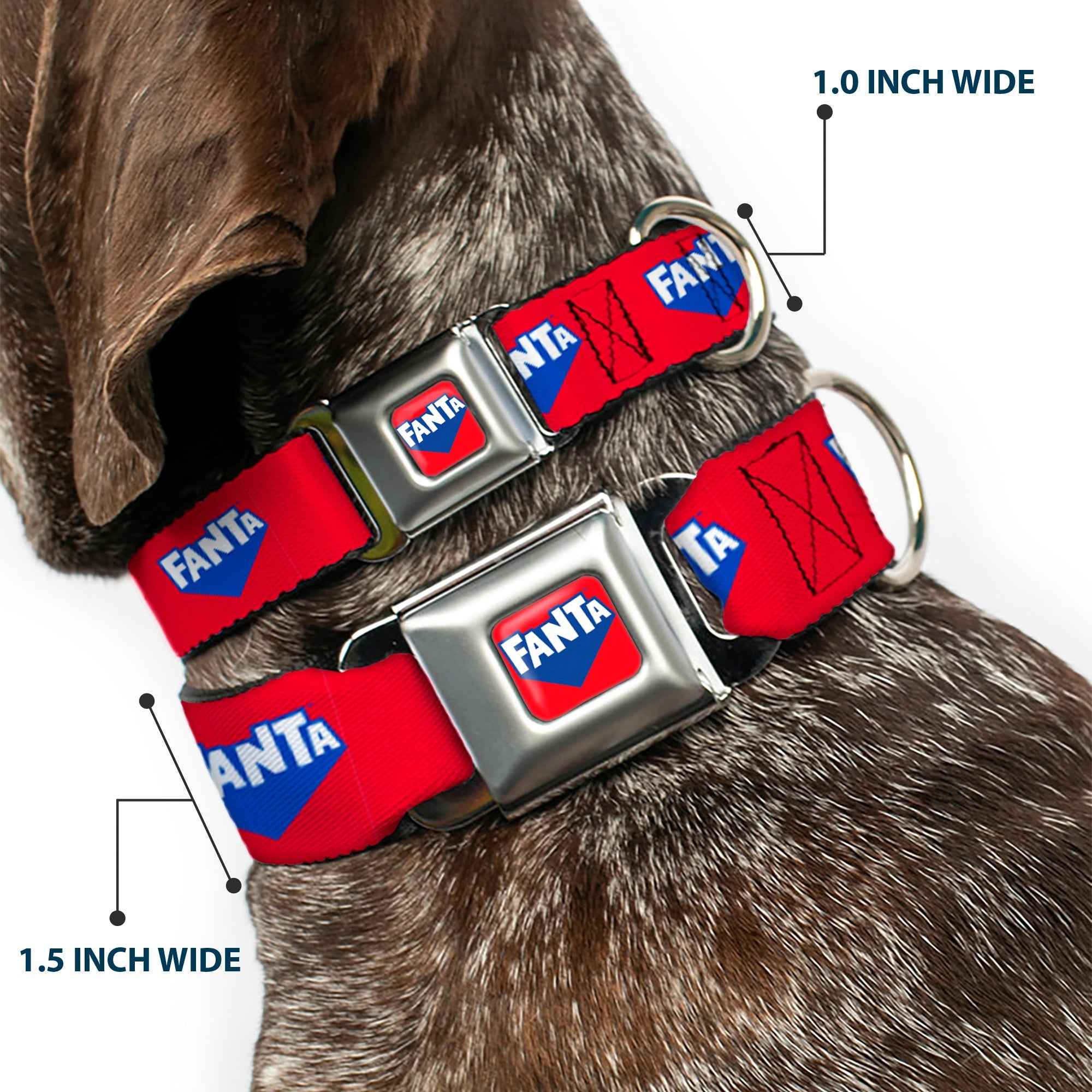 Buckle-Down Fanta Logo Full Color Strawberry Red/Blue/White Seatbelt Buckle Dog Collar - Fanta Logo Strawberry Red/Blue/White