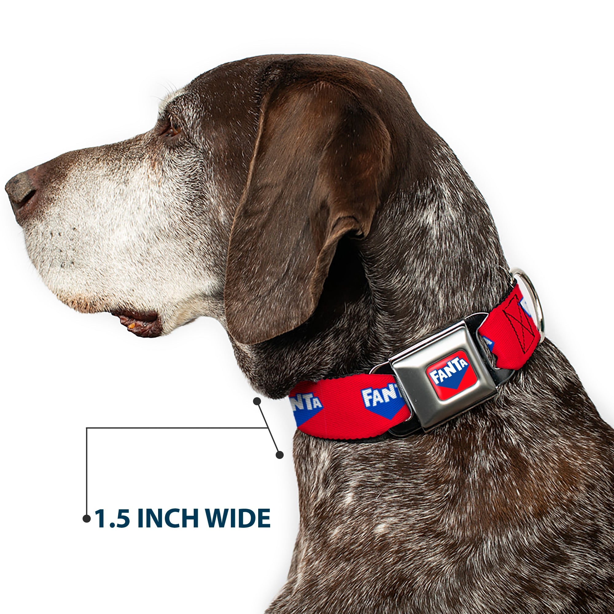 Buckle-Down Fanta Logo Full Color Strawberry Red/Blue/White Seatbelt Buckle Dog Collar - Fanta Logo Strawberry Red/Blue/White