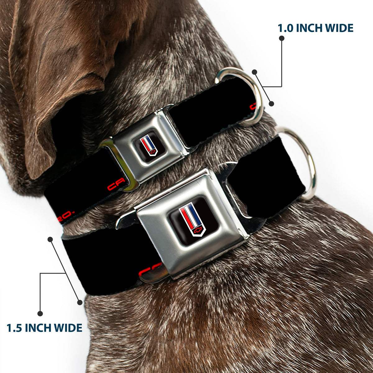 Camaro Badge Full Color Seatbelt Buckle Collar - CAMARO Badge Logo REPEAT