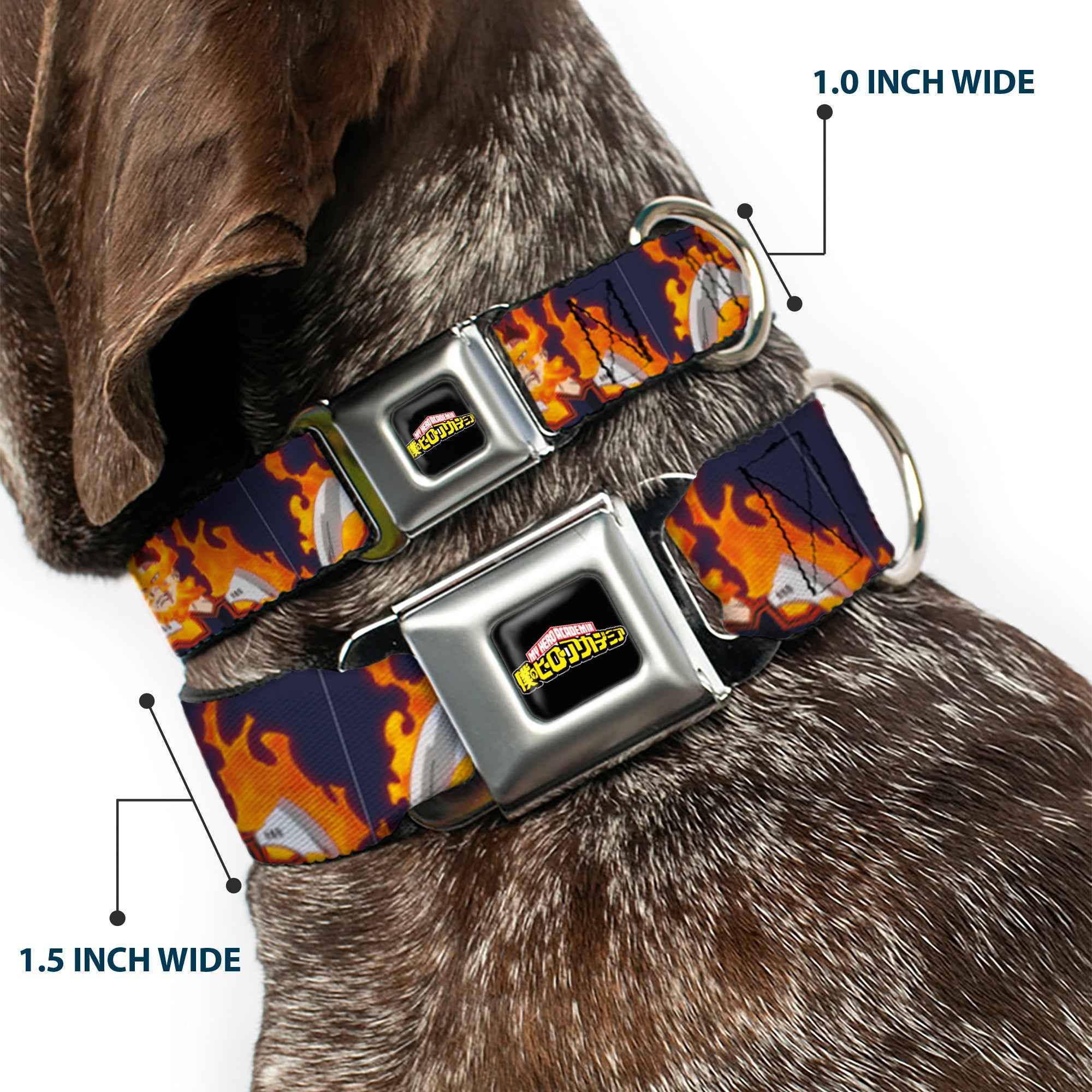 Buckle-Down My Hero Academia Title Logo Full Color Black Seatbelt Buckle Dog Collar - My Hero Academia Flame Hero Endeavor Pose Blue