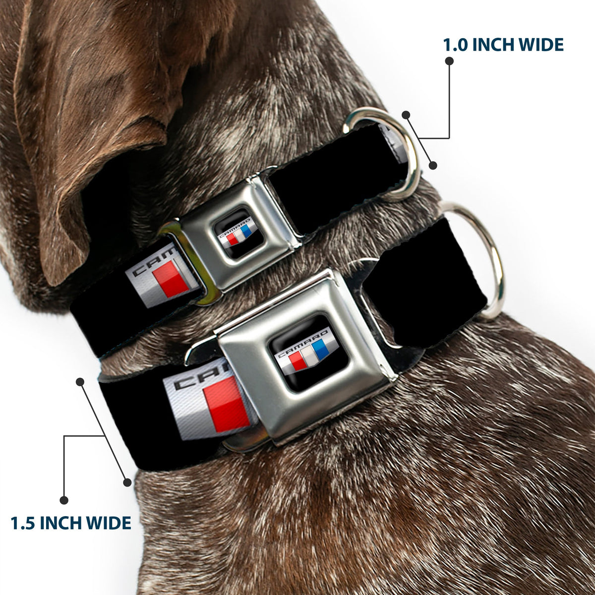 CAMARO Six Badge Full Color Black Silver Red White Blue Seatbelt Buckle Collar - CAMARO Six Badge Black/Silver/Red/White/Blue