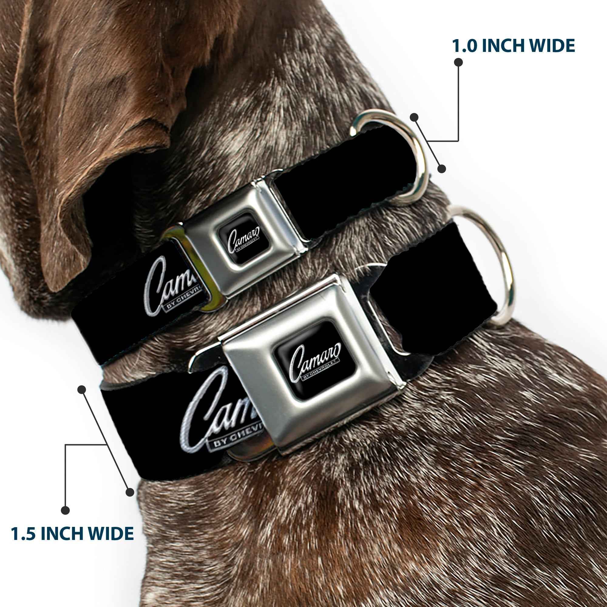 Buckle-Down 1969 Camaro By Chevrolet Emblem Black/Silver Seatbelt Buckle Dog Collar - 1969 Camaro By Chevrolet Emblem Black/Silver