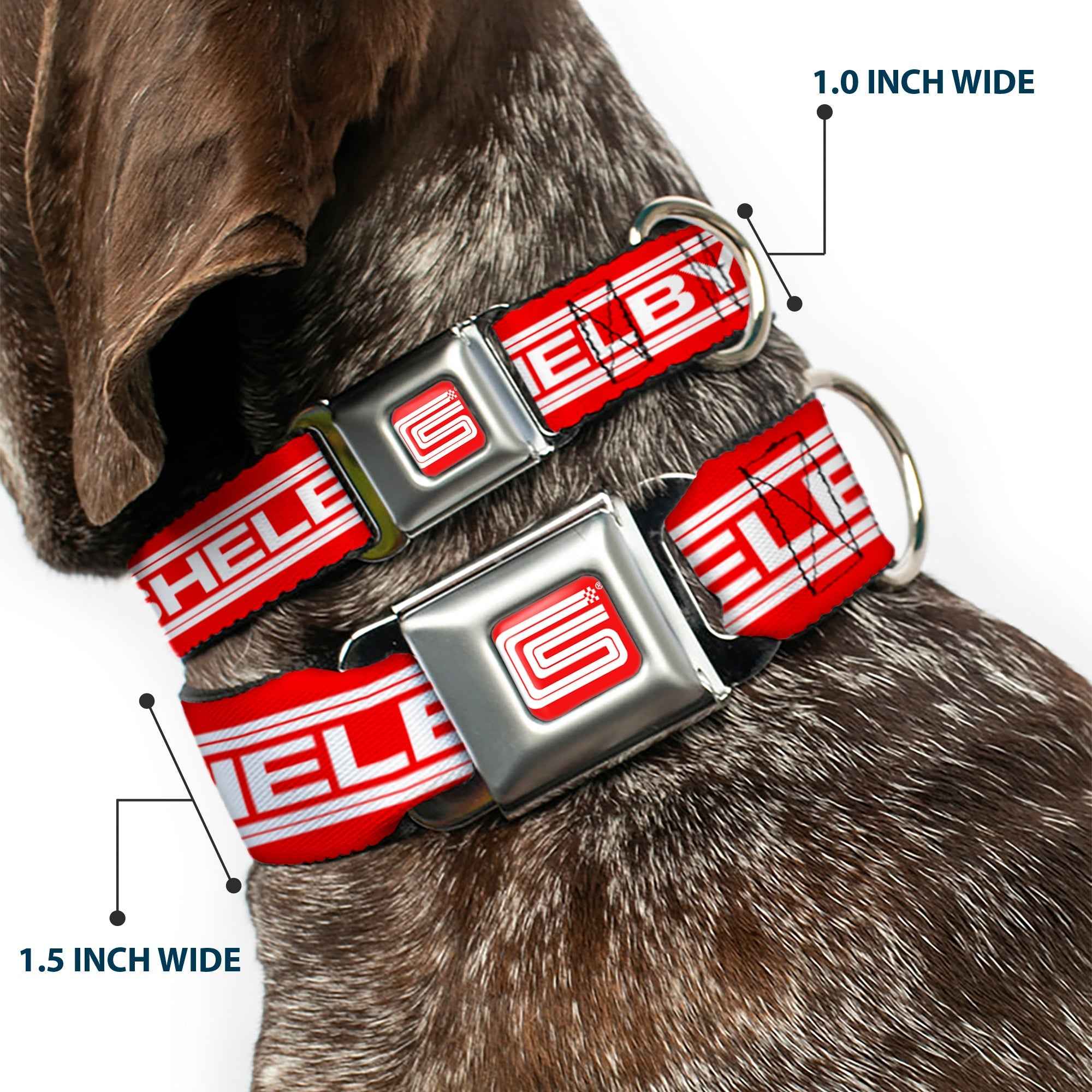 Buckle-Down Carroll Shelby Cs Racing Logo Full Color Red/White Seatbelt Buckle Dog Collar - Carroll Shelby Cs Shelby Racing Logo Block Red/White