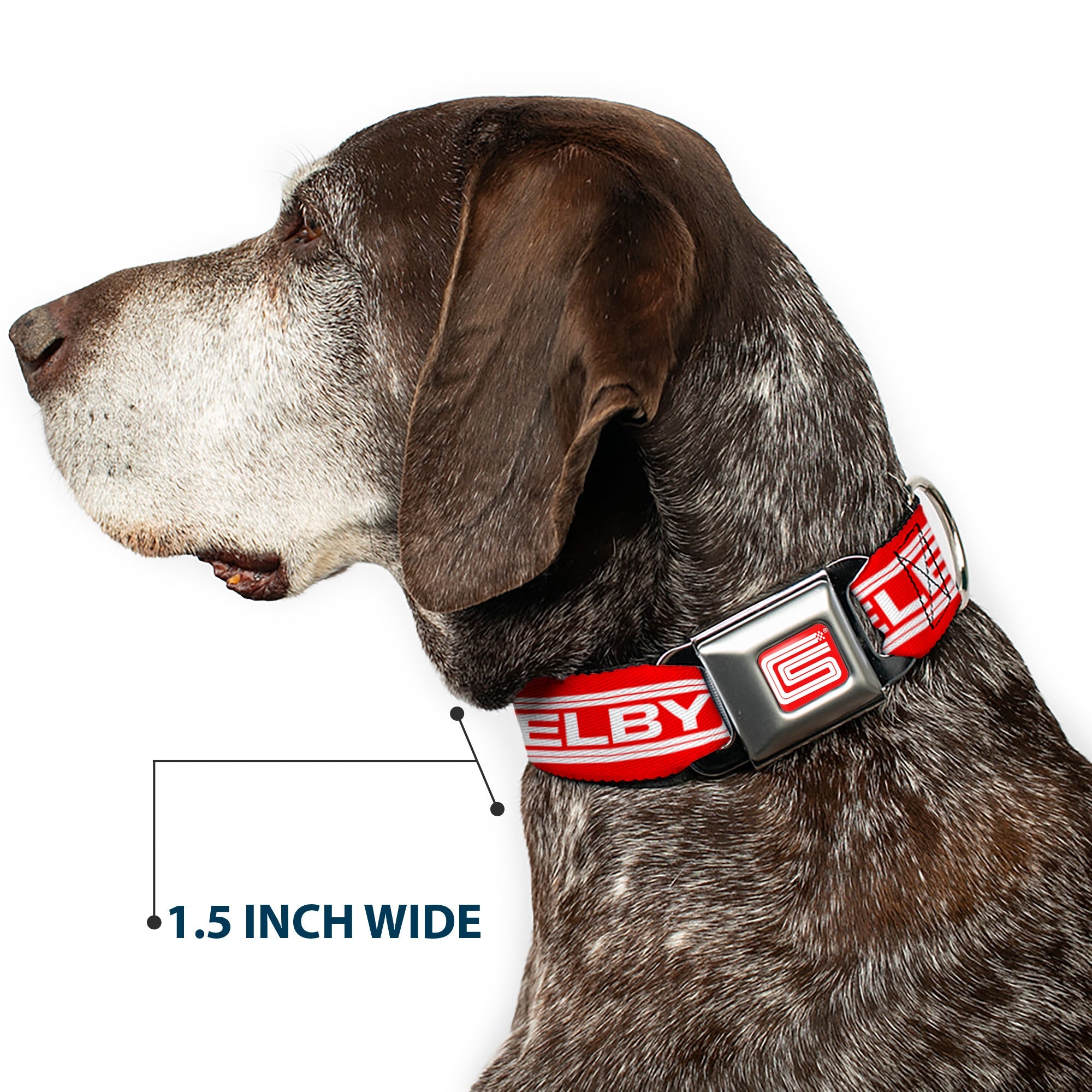 Buckle-Down Carroll Shelby Cs Racing Logo Full Color Red/White Seatbelt Buckle Dog Collar - Carroll Shelby Cs Shelby Racing Logo Block Red/White