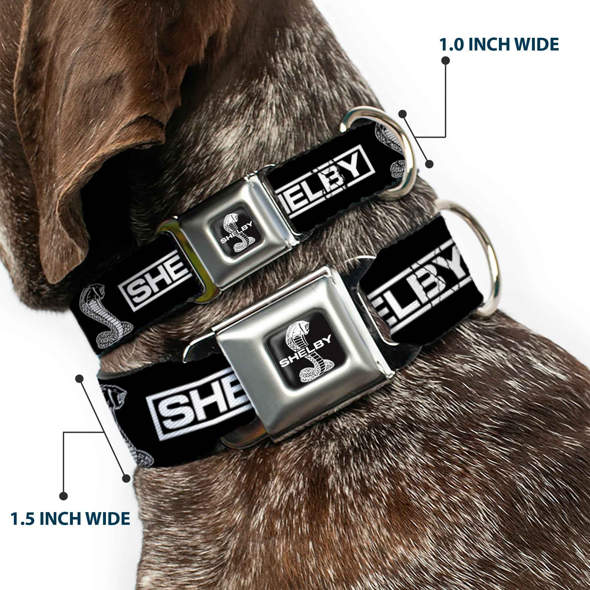 Buckle-Down Shelby Super Snake Cobra Split Full Color Black/White Seatbelt Buckle Dog Collar - Shelby Box Logo and Super Snake Cobra Black/White