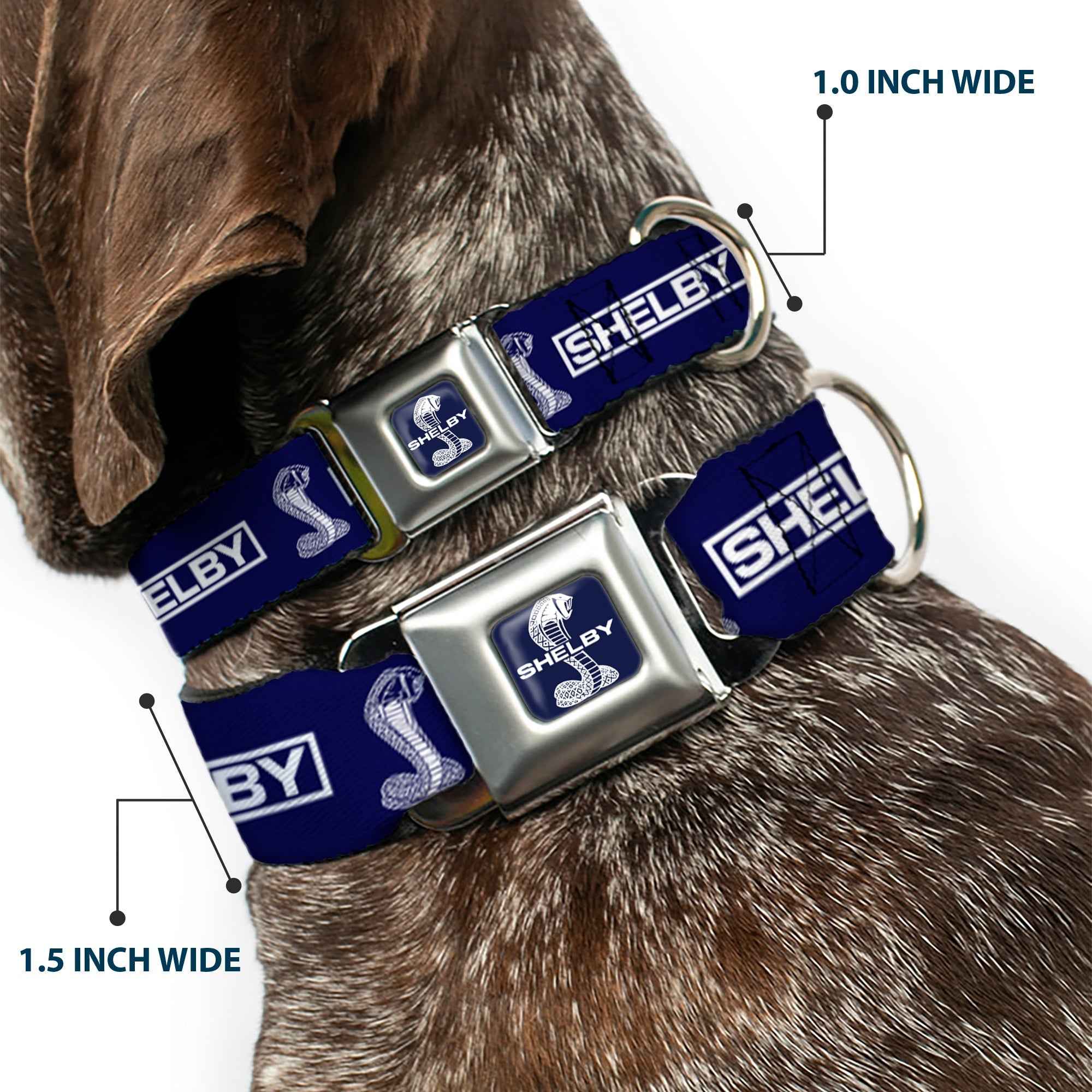 Buckle-Down Shelby Super Snake Cobra Split Full Color Blue/White Seatbelt Buckle Dog Collar - Shelby Box Logo and Super Snake Cobra Blue/White