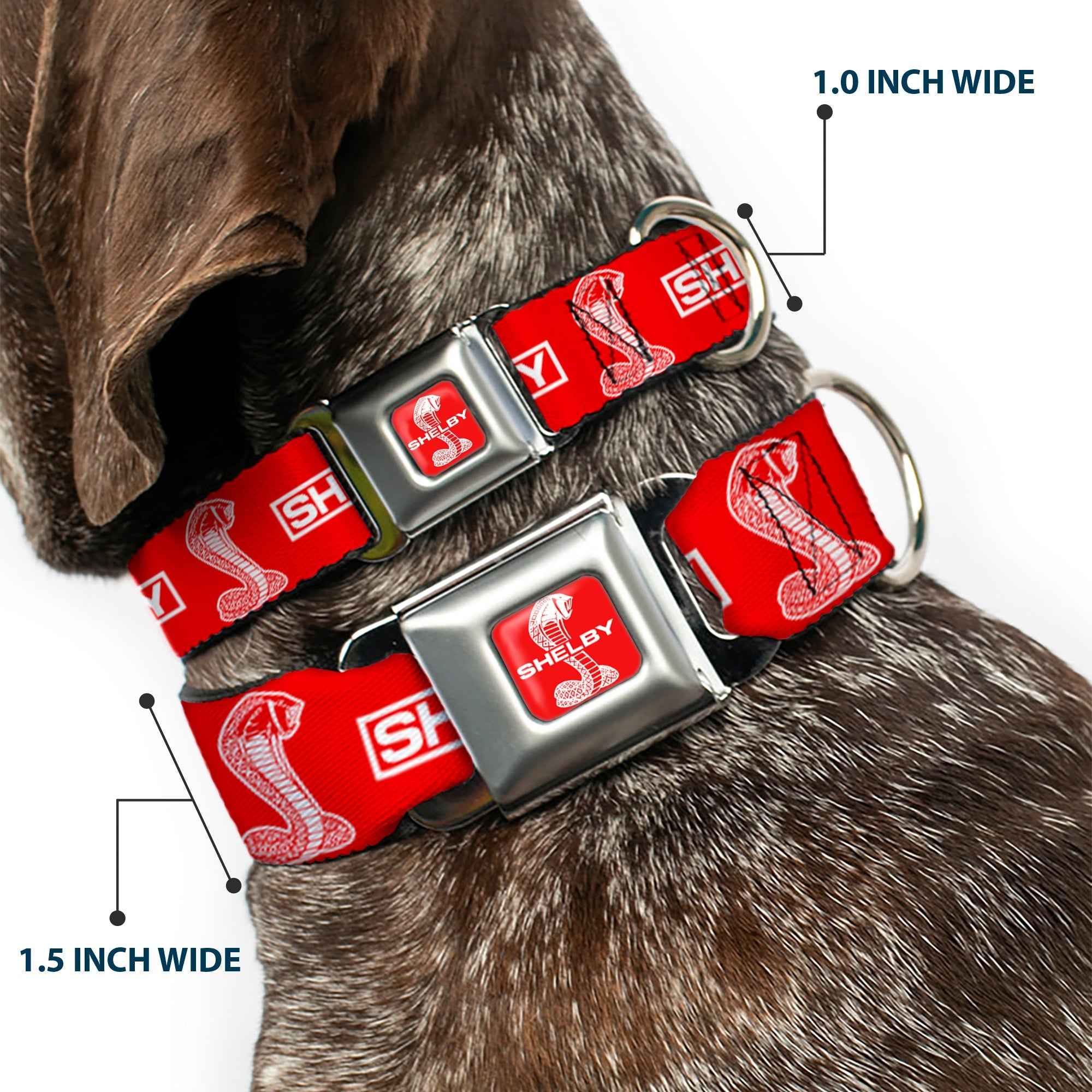 Buckle-Down Shelby Super Snake Cobra Split Full Color Red/White Seatbelt Buckle Dog Collar - Shelby Box Logo and Super Snake Cobra Red/White