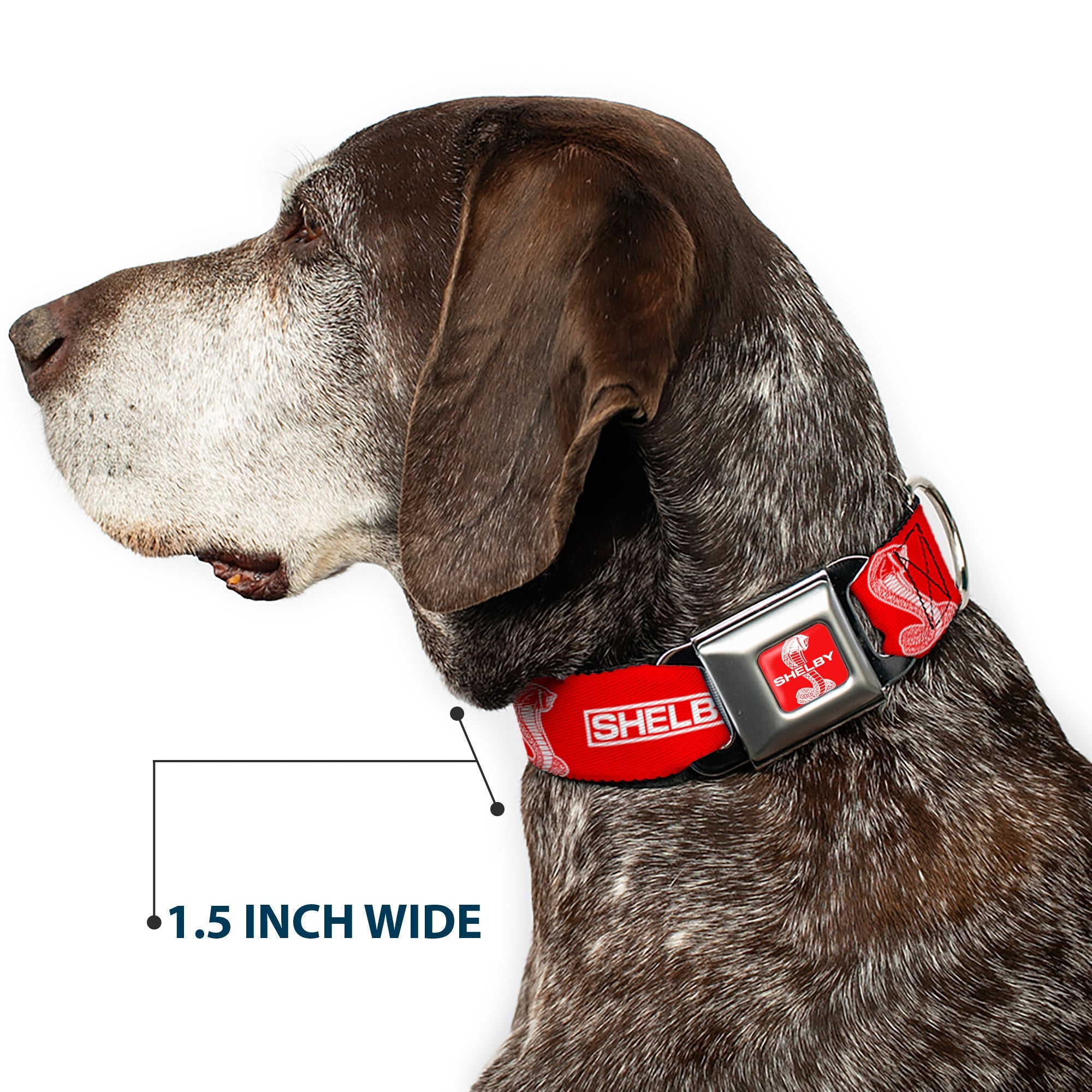 Buckle-Down Shelby Super Snake Cobra Split Full Color Red/White Seatbelt Buckle Dog Collar - Shelby Box Logo and Super Snake Cobra Red/White