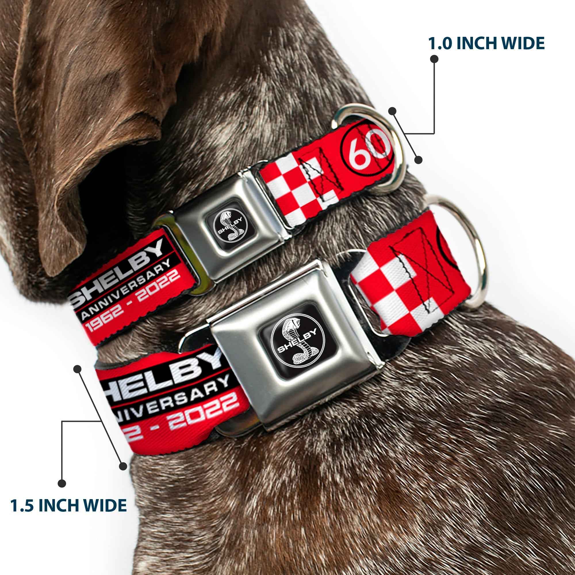 Buckle-Down Shelby Tiffany Split Full Color Black/White Seatbelt Buckle Dog Collar - Shelby 60th Anniversary Checker Red/Black/White