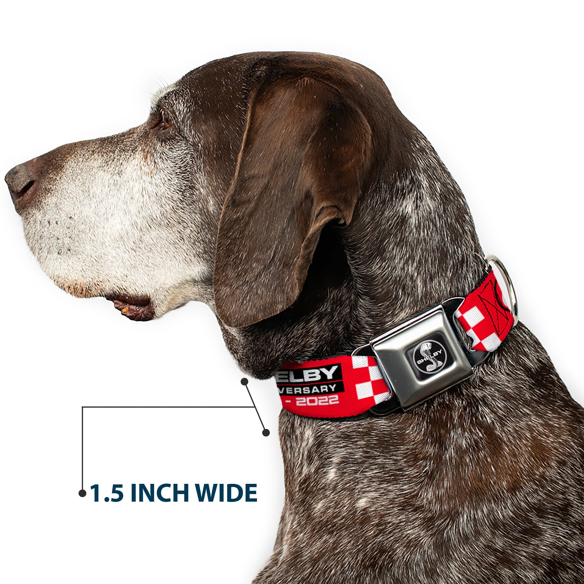 Buckle-Down Shelby Tiffany Split Full Color Black/White Seatbelt Buckle Dog Collar - Shelby 60th Anniversary Checker Red/Black/White