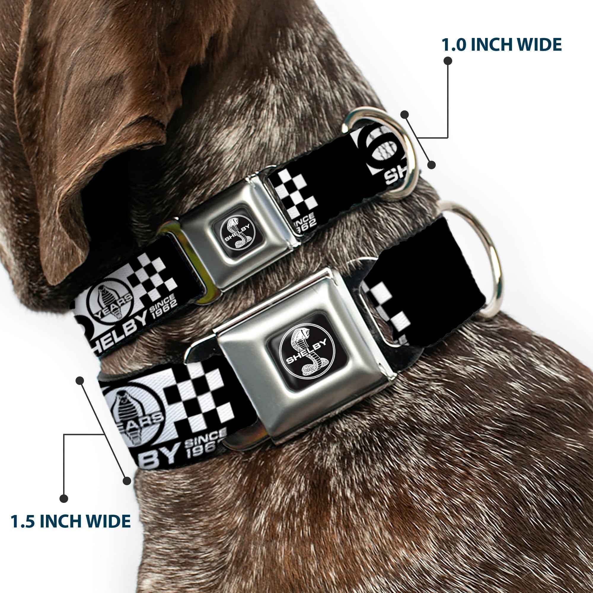 Buckle-Down Shelby Tiffany Split Full Color Black/White Seatbelt Buckle Dog Collar - Shelby 60 Years Since 1962 Checker Black/White