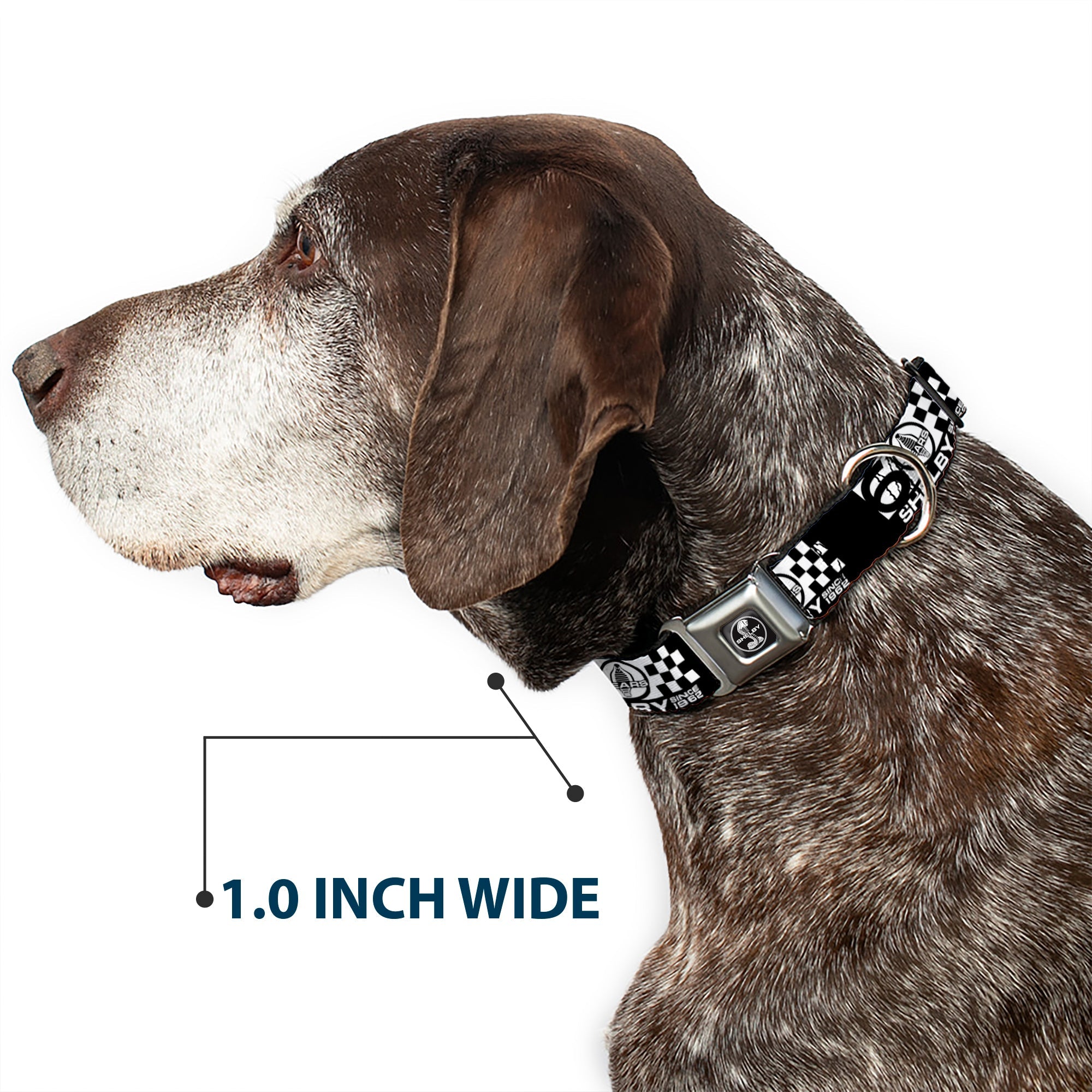 Buckle-Down Shelby Tiffany Split Full Color Black/White Seatbelt Buckle Dog Collar - Shelby 60 Years Since 1962 Checker Black/White