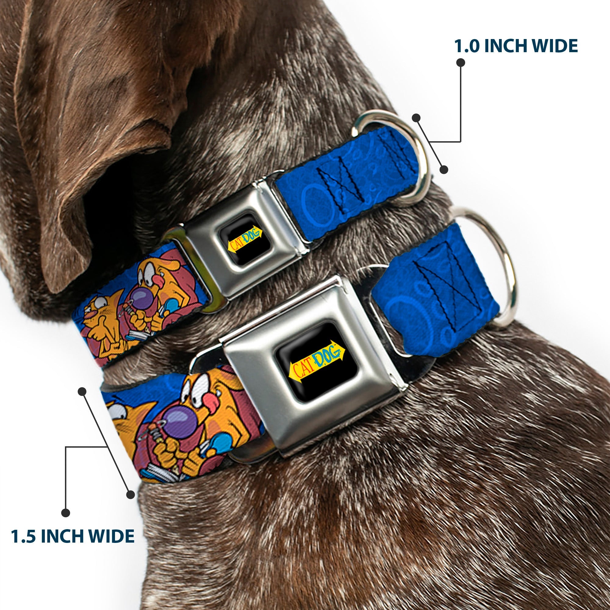 CatDog Stretch/CATDOG Logo Seatbelt Buckle Collar - CatDog Hanging Out Poses Blue