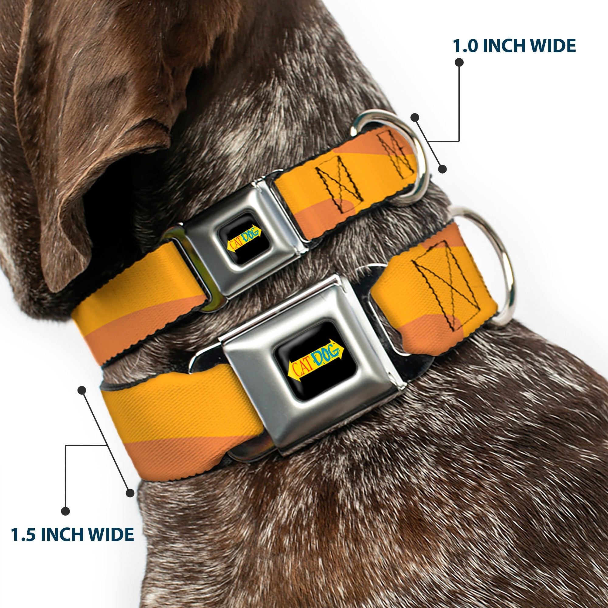 CatDog Stretch/CATDOG Logo Seatbelt Buckle Collar - CatDog Stretch/CATDOG Logo