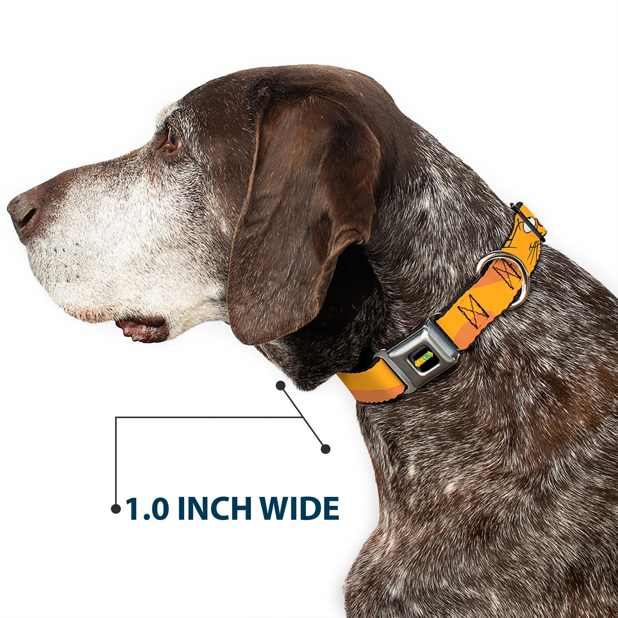 CatDog Stretch/CATDOG Logo Seatbelt Buckle Collar - CatDog Stretch/CATDOG Logo