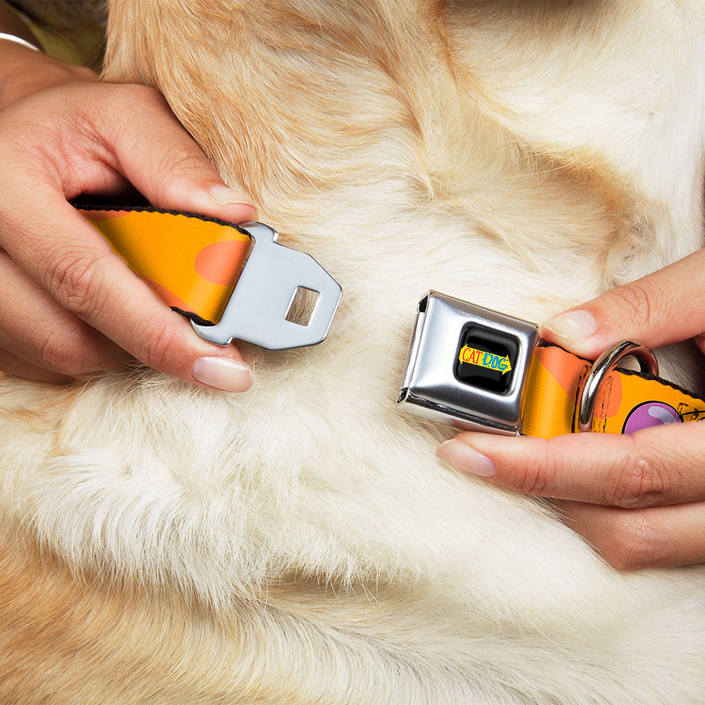 CatDog Stretch/CATDOG Logo Seatbelt Buckle Collar - CatDog Stretch/CATDOG Logo