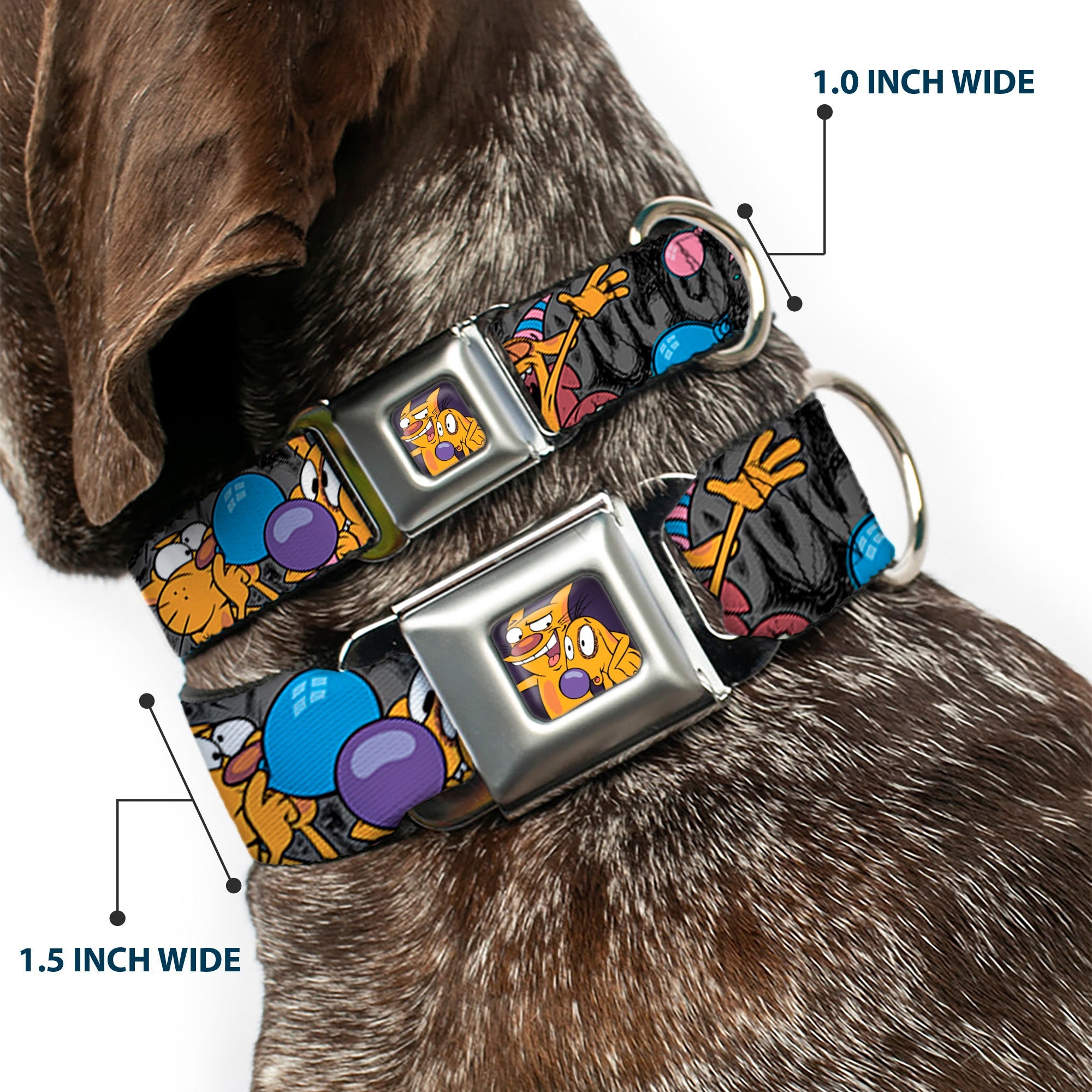 Dog & Cat Pose Full Color Seatbelt Buckle Collar - CatDog Party/Balloons/CATDOG Logo Gray/Black/Multi Color