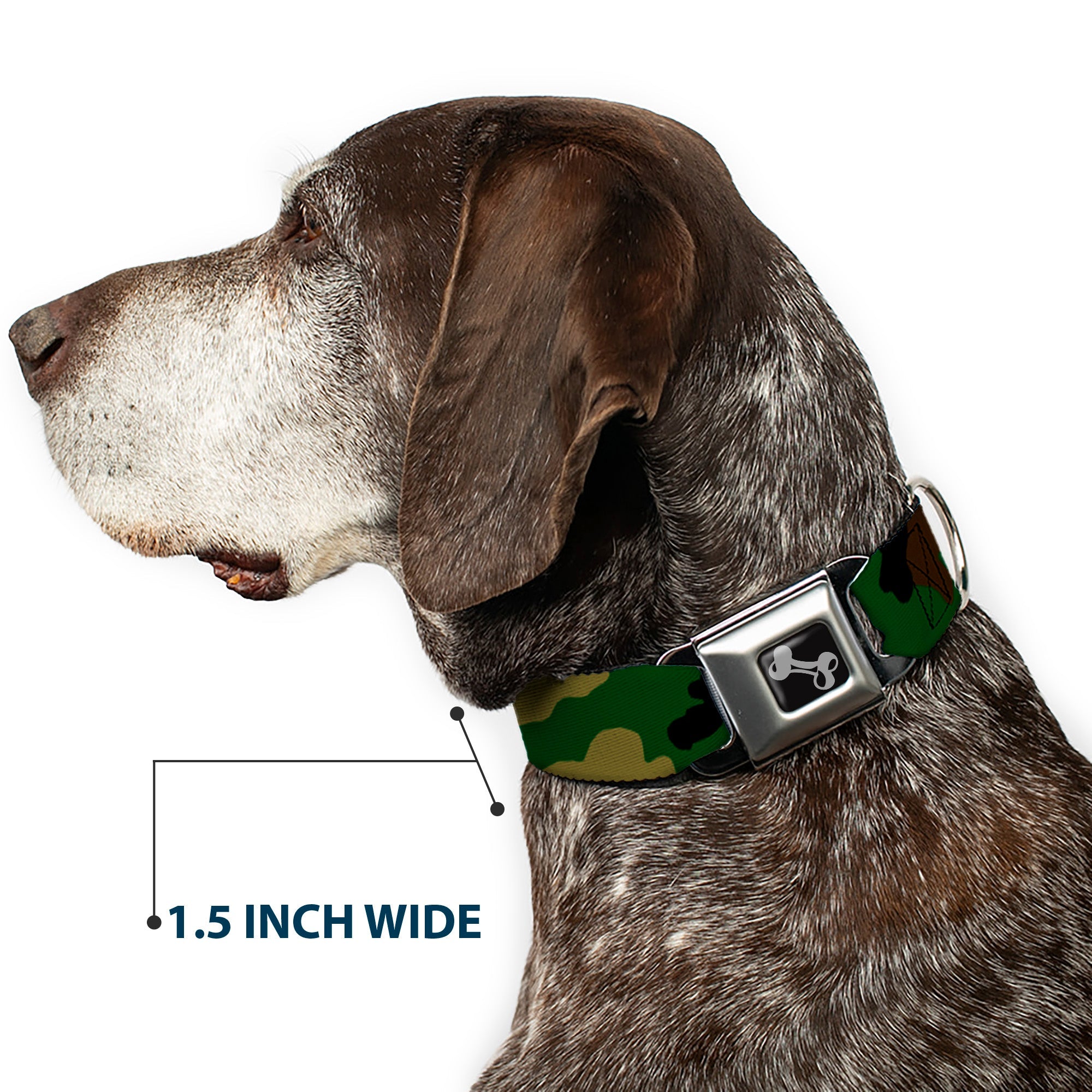 Buckle-Down Camo Olive Seatbelt Buckle Dog Collar