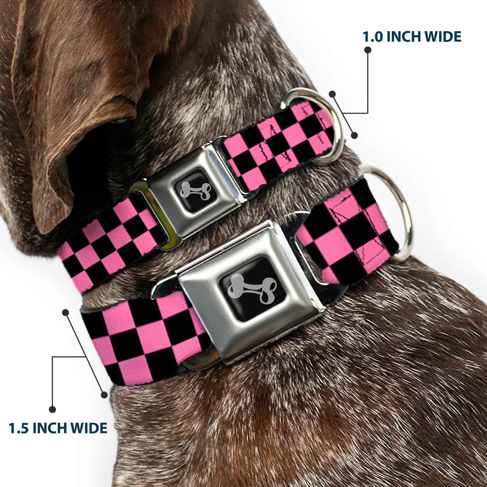 Buckle-Down Checker Black/Pink Seatbelt Buckle Dog Collar