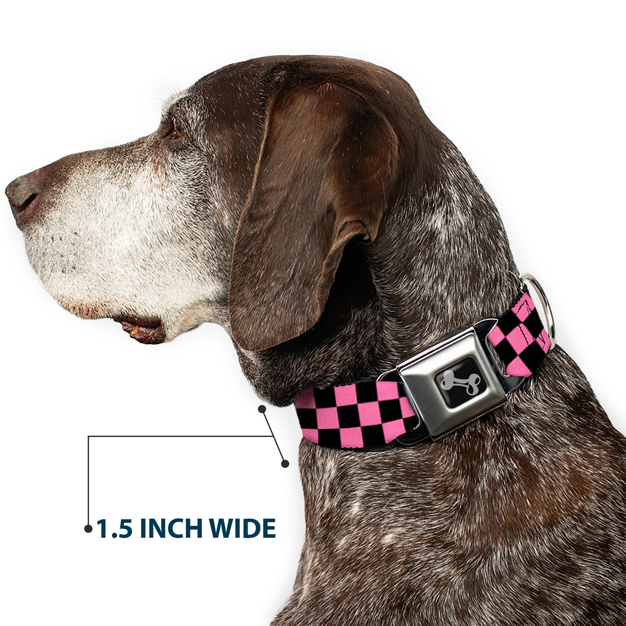 Buckle-Down Checker Black/Pink Seatbelt Buckle Dog Collar