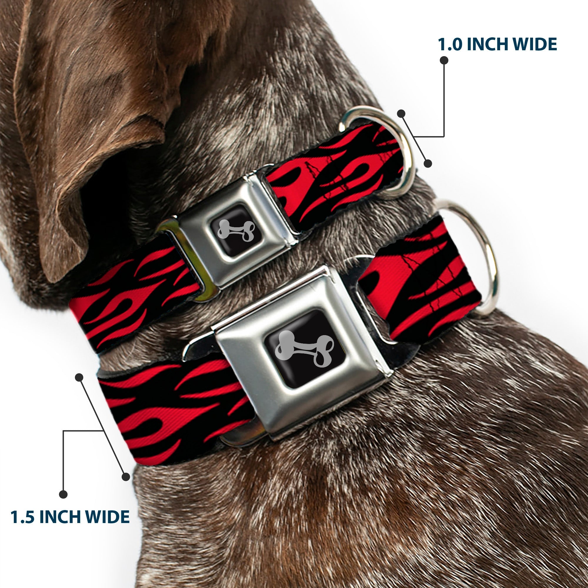 Dog Bone Seatbelt Buckle Collar - Flame Red