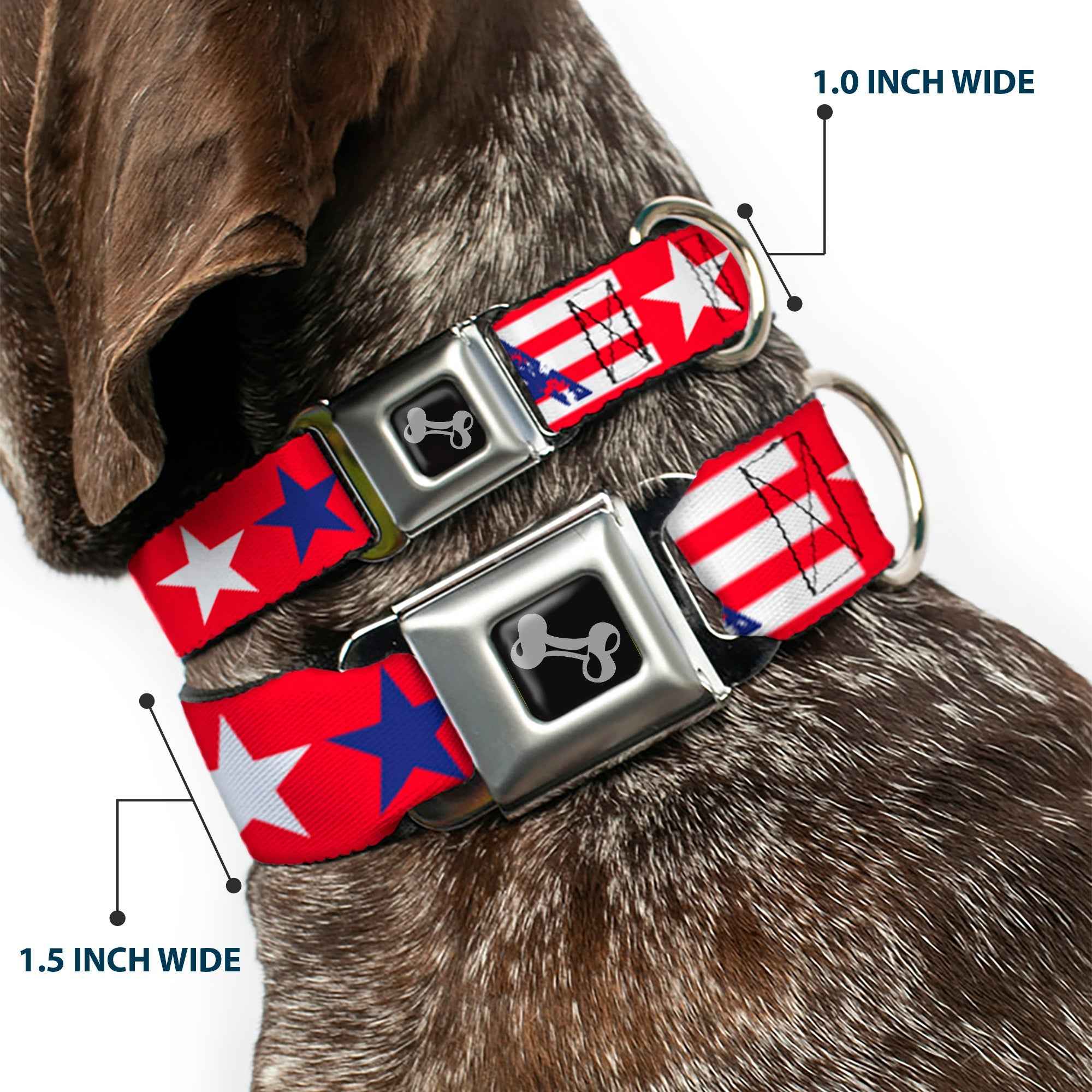 Buckle-Down Merica Stripes/Stars Red/White/Blue Seatbelt Buckle Dog Collar