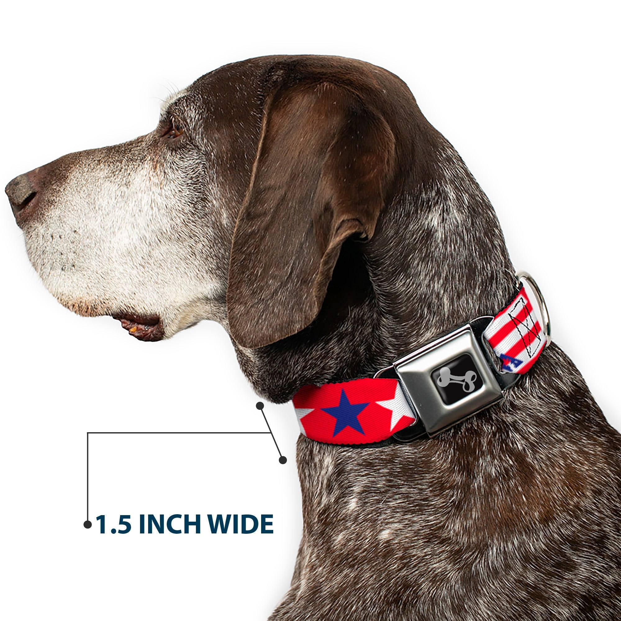 Buckle-Down Merica Stripes/Stars Red/White/Blue Seatbelt Buckle Dog Collar
