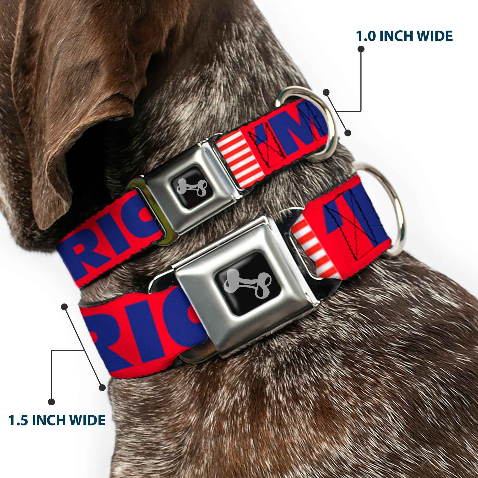 Buckle-Down Merica/US Flag Red/Blue/White Seatbelt Buckle Dog Collar