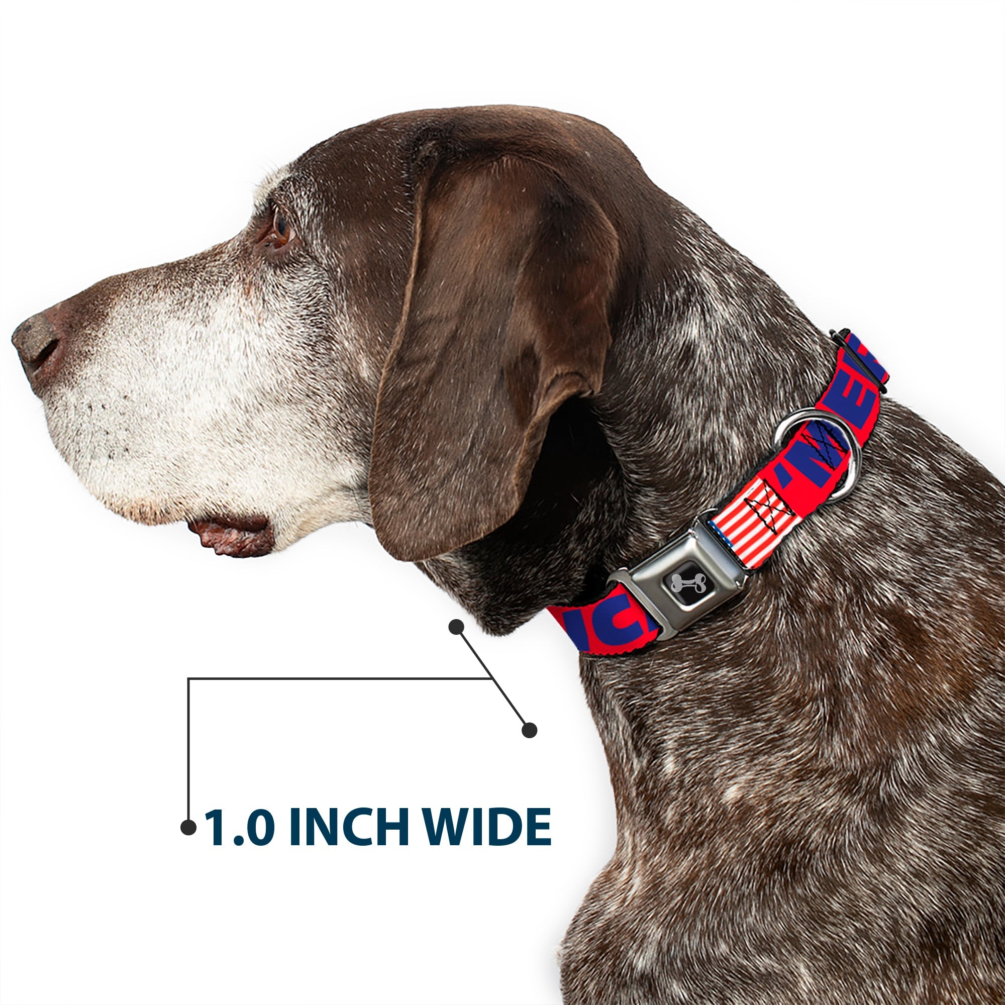Buckle-Down Merica/US Flag Red/Blue/White Seatbelt Buckle Dog Collar