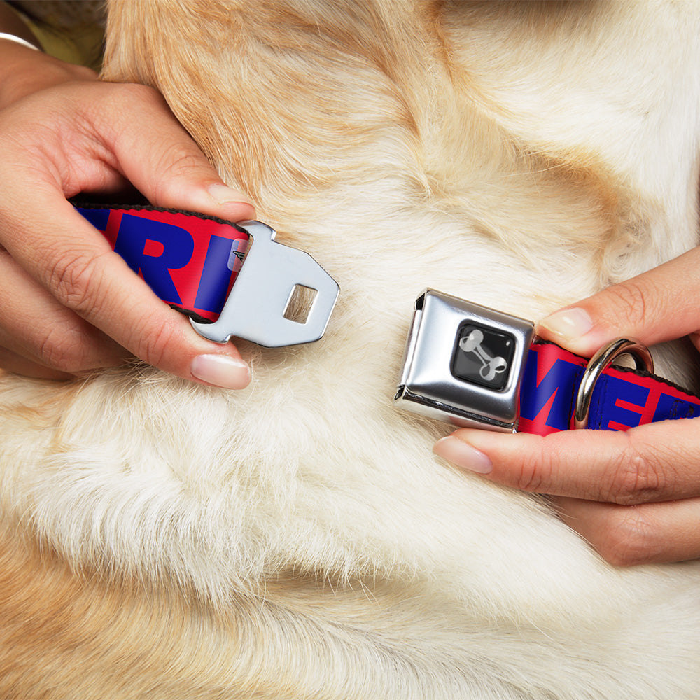 Buckle-Down Merica/US Flag Red/Blue/White Seatbelt Buckle Dog Collar
