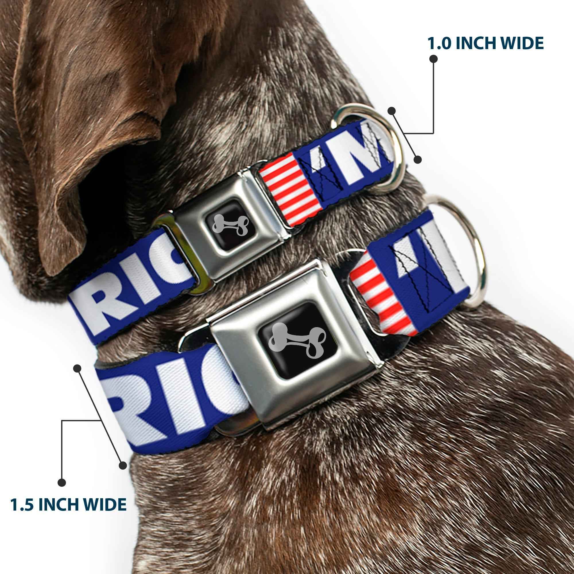 Buckle-Down Merica/US Flag Blue/White/Red Seatbelt Buckle Dog Collar