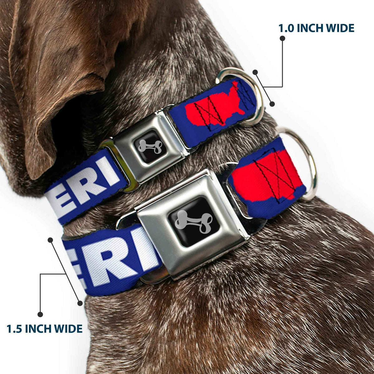 Dog Bone Seatbelt Buckle Collar - MERICA/USA Silhouette Blue/White/Red