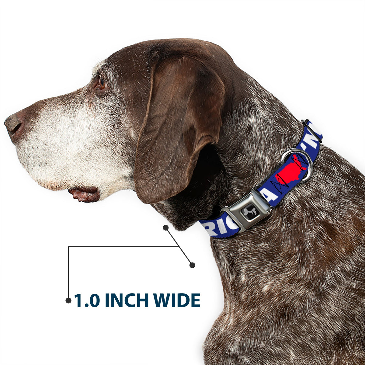 Dog Bone Seatbelt Buckle Collar - MERICA/USA Silhouette Blue/White/Red | HT Animal Supply