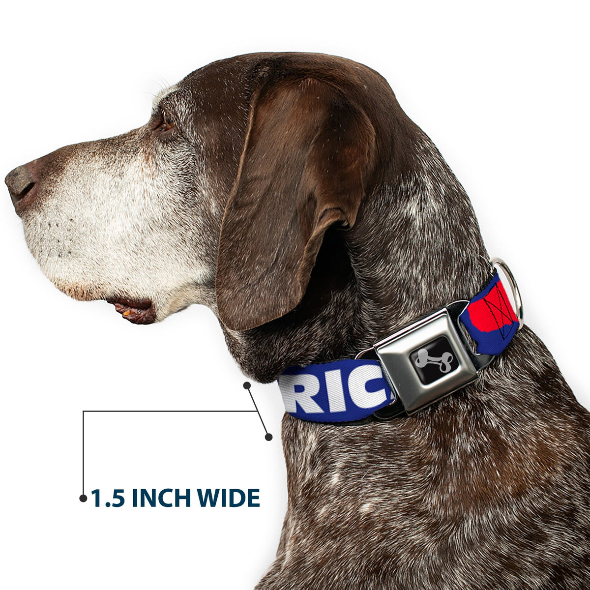 Dog Bone Seatbelt Buckle Collar - MERICA/USA Silhouette Blue/White/Red | HT Animal Supply