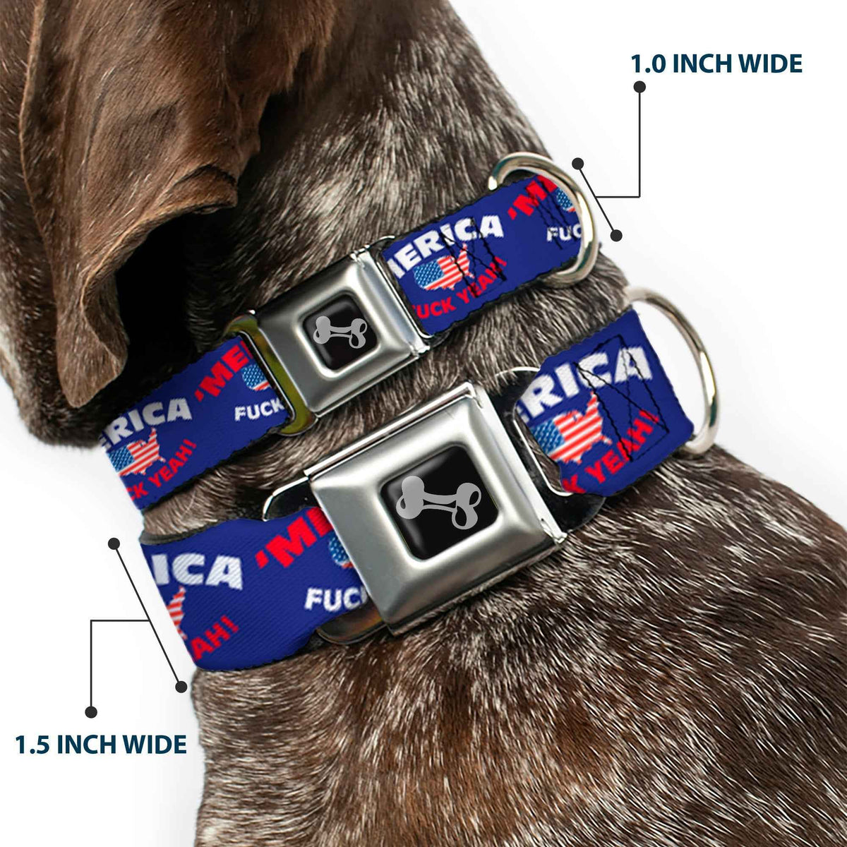 Dog Bone Seatbelt Buckle Collar - MERICA FUCK YEAH!/USA Silhouette Blue/White/Red/US Flag