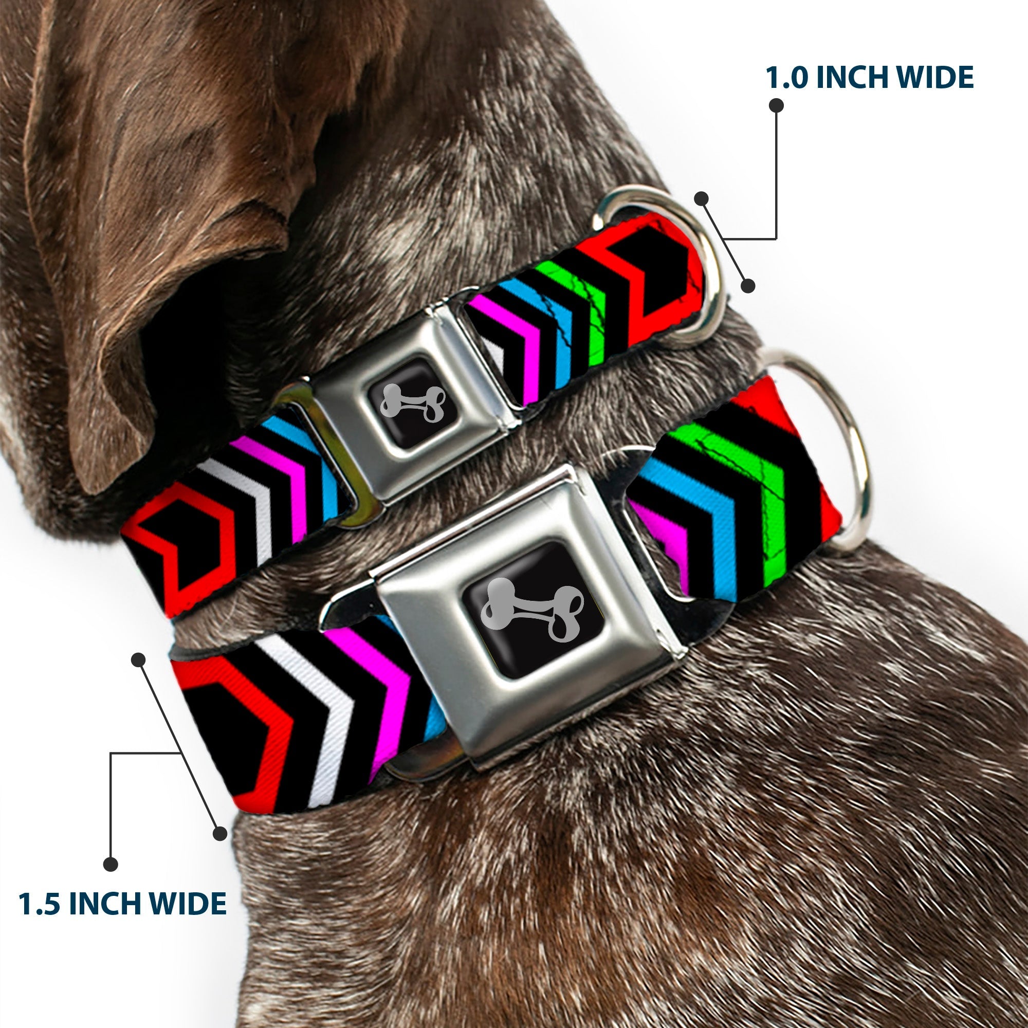 Dog Bone Seatbelt Buckle Collar - Arrows Black/Multi Color