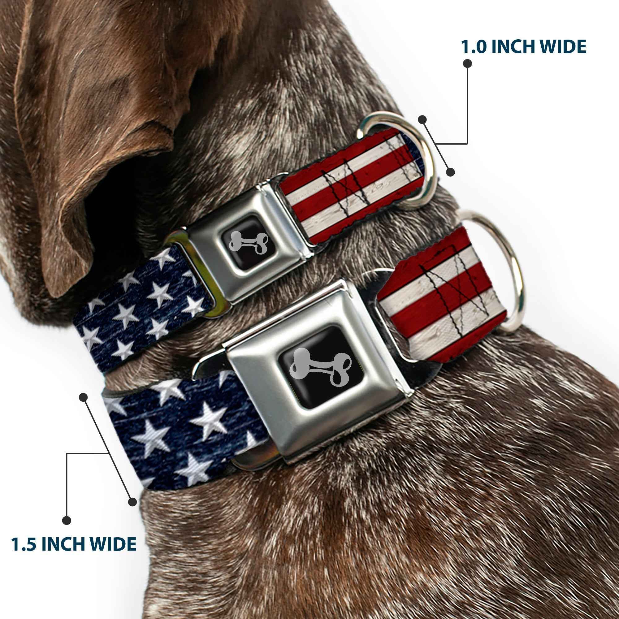 Buckle-Down Americana Rustic Stars & Stripes Seatbelt Buckle Dog Collar