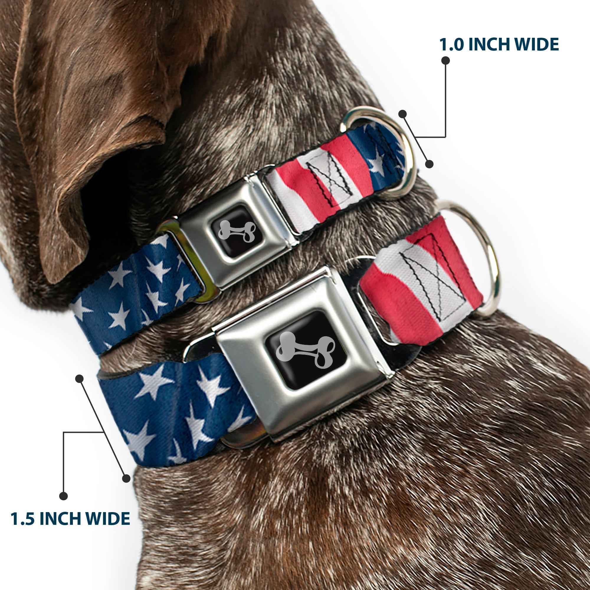 Buckle-Down American Flag Vertical Close-Up Seatbelt Buckle Dog Collar