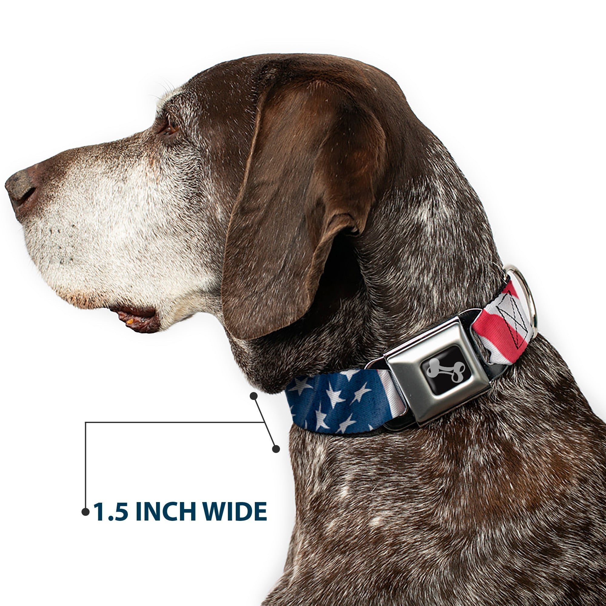 Buckle-Down American Flag Vertical Close-Up Seatbelt Buckle Dog Collar