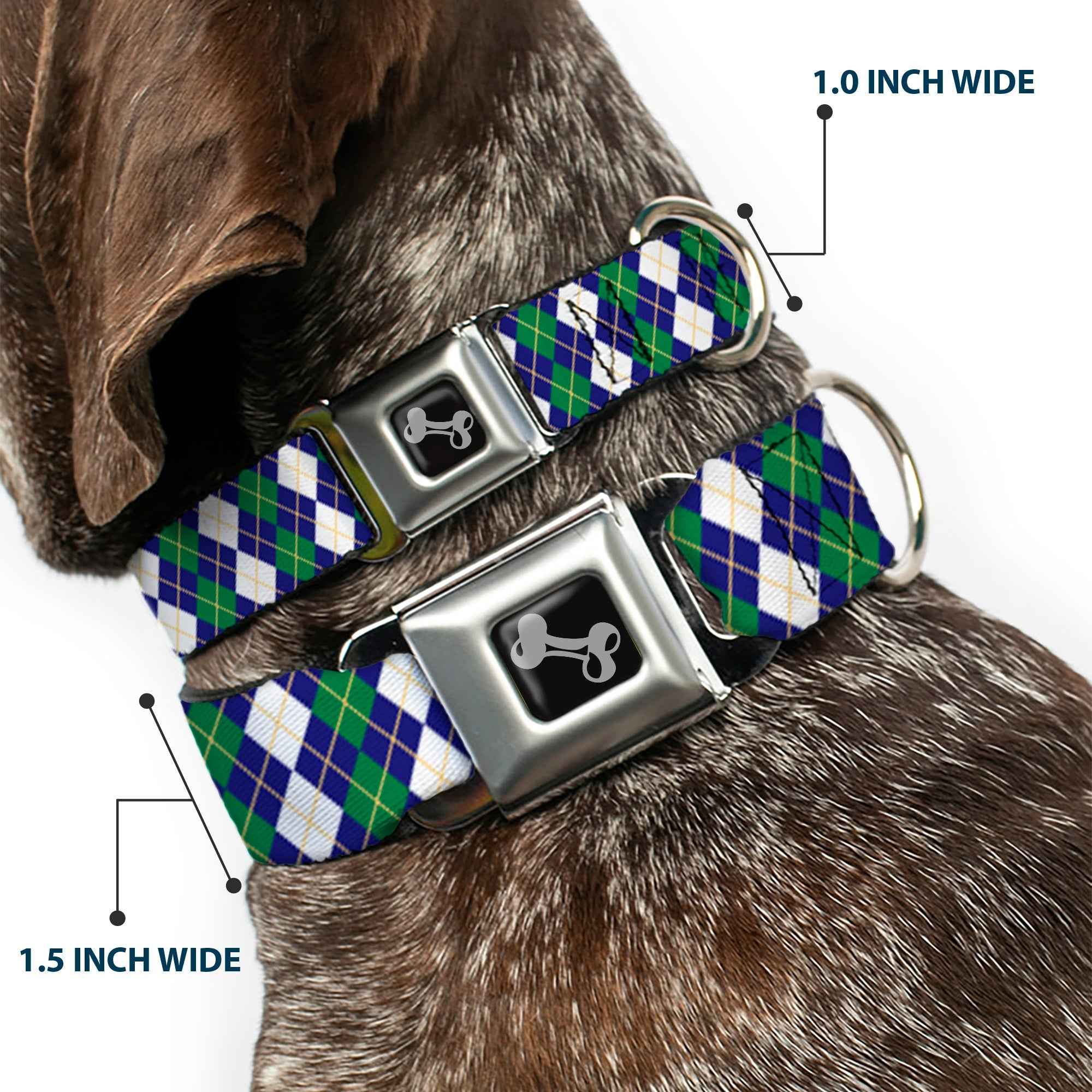 Buckle-Down Dog Bone Black/Silver Seatbelt Buckle Dog Collar - Argyle Navy/Green/White/Gold