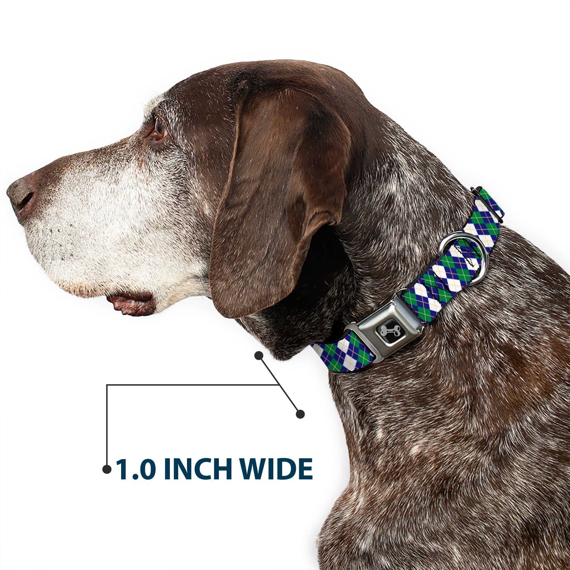Buckle-Down Dog Bone Black/Silver Seatbelt Buckle Dog Collar - Argyle Navy/Green/White/Gold